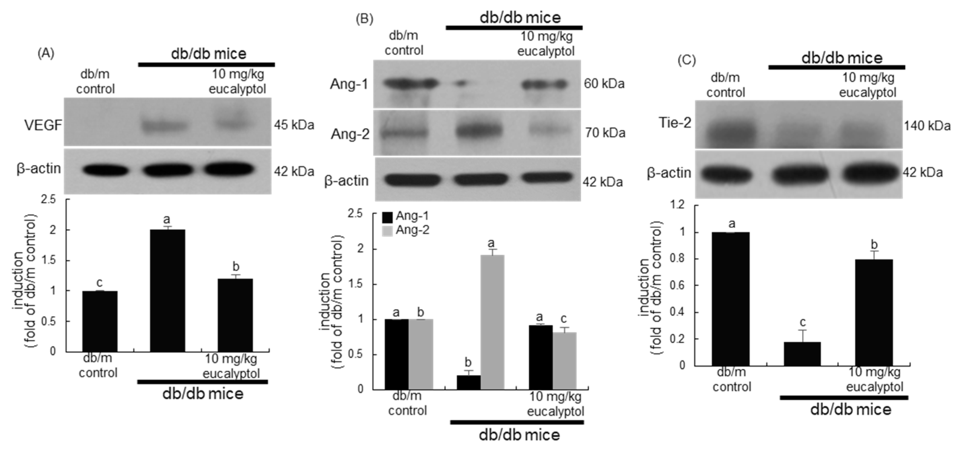 Ijms 25 07826 g007 Ijms 25 07826 g007