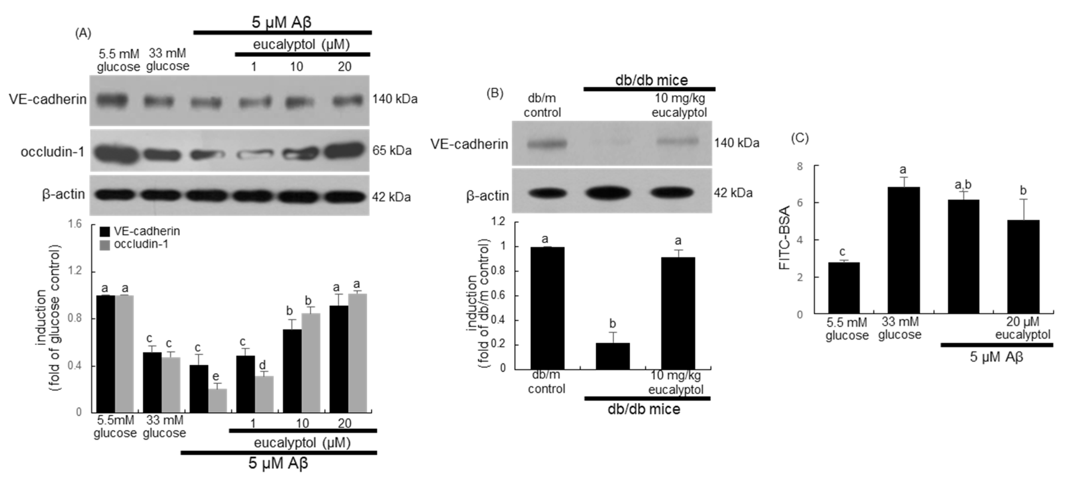 Ijms 25 07826 g008 Ijms 25 07826 g008