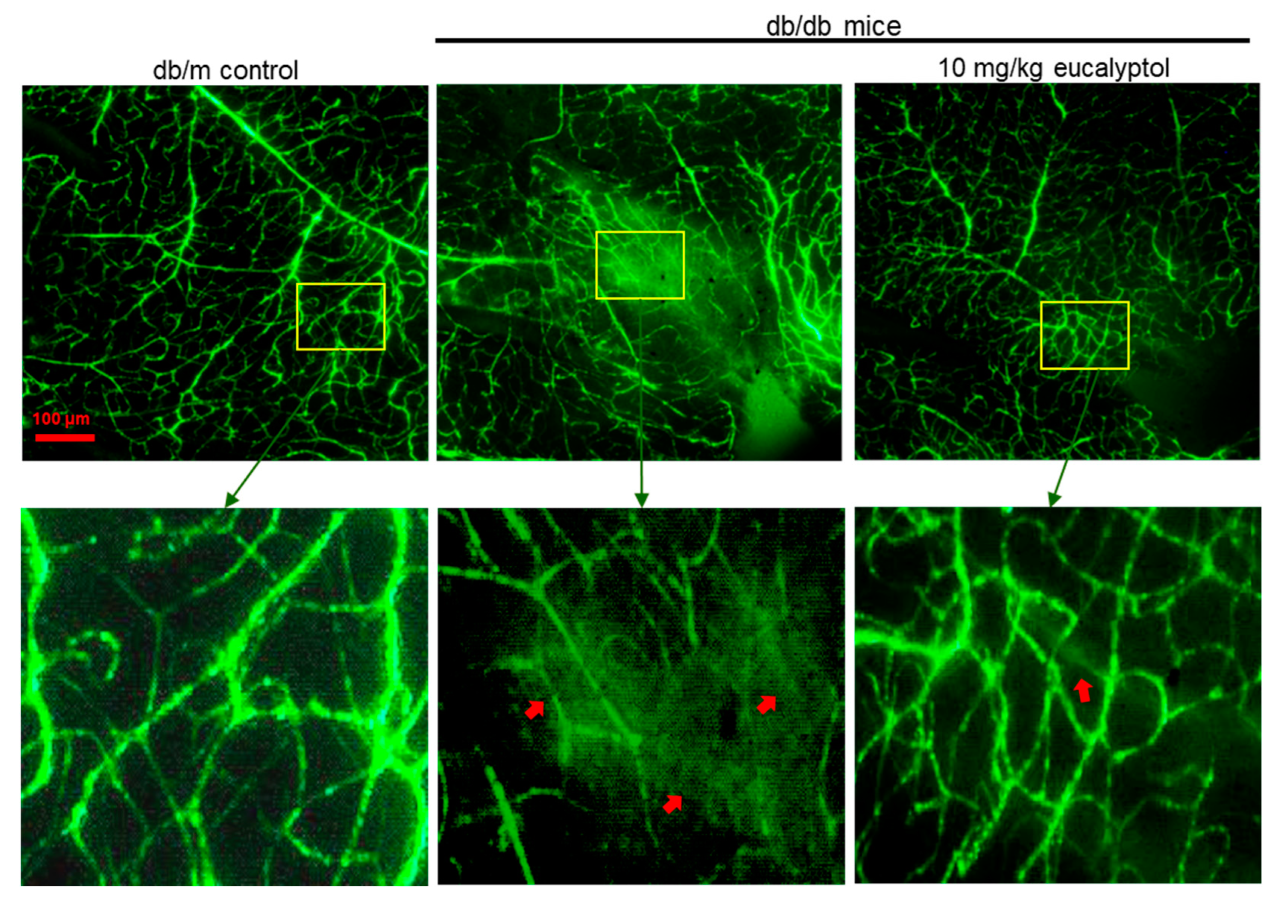 Ijms 25 07826 g009 Ijms 25 07826 g009