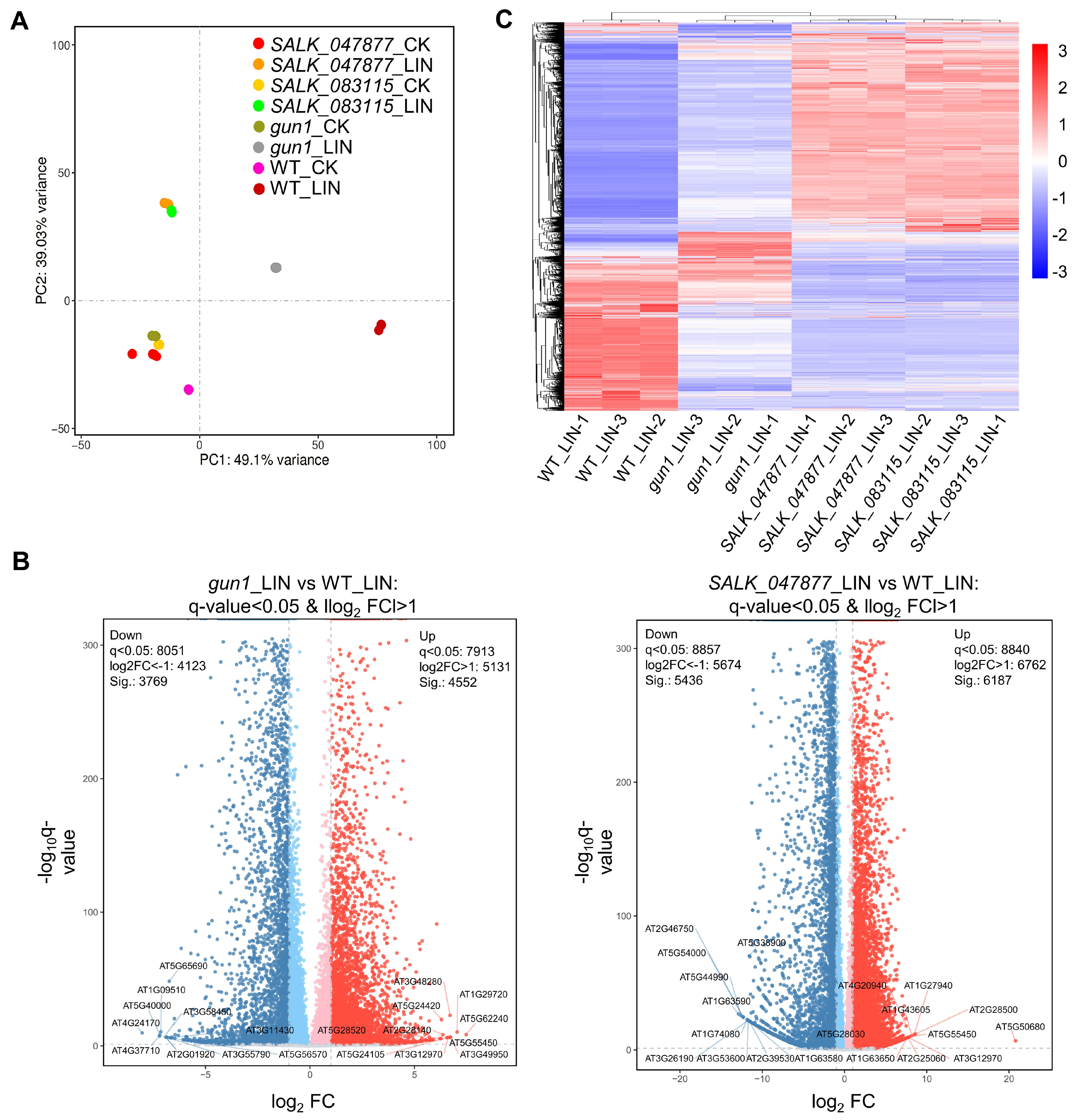 Ijms 25 07829 g004 Ijms 25 07829 g004