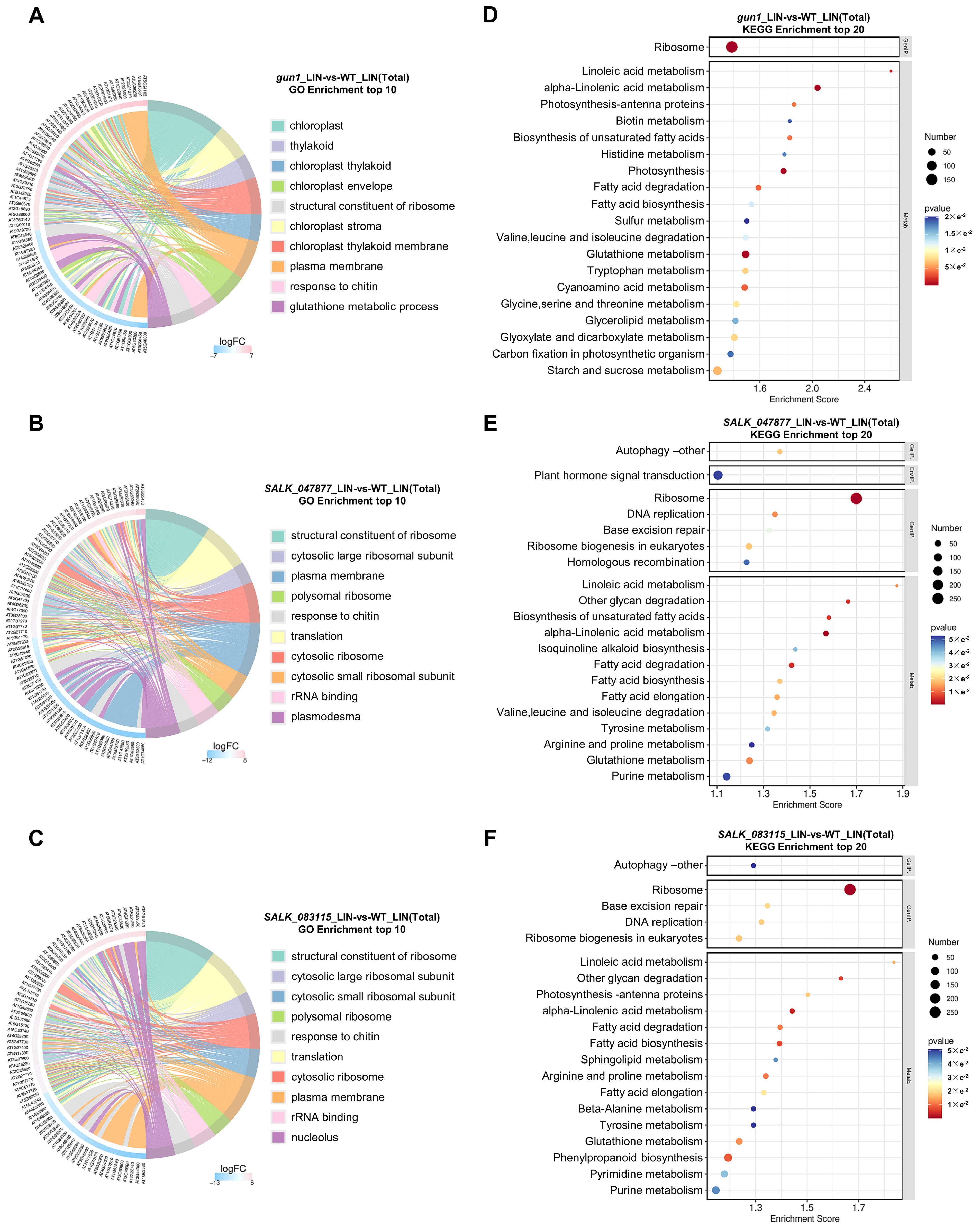 Ijms 25 07829 g005 Ijms 25 07829 g005