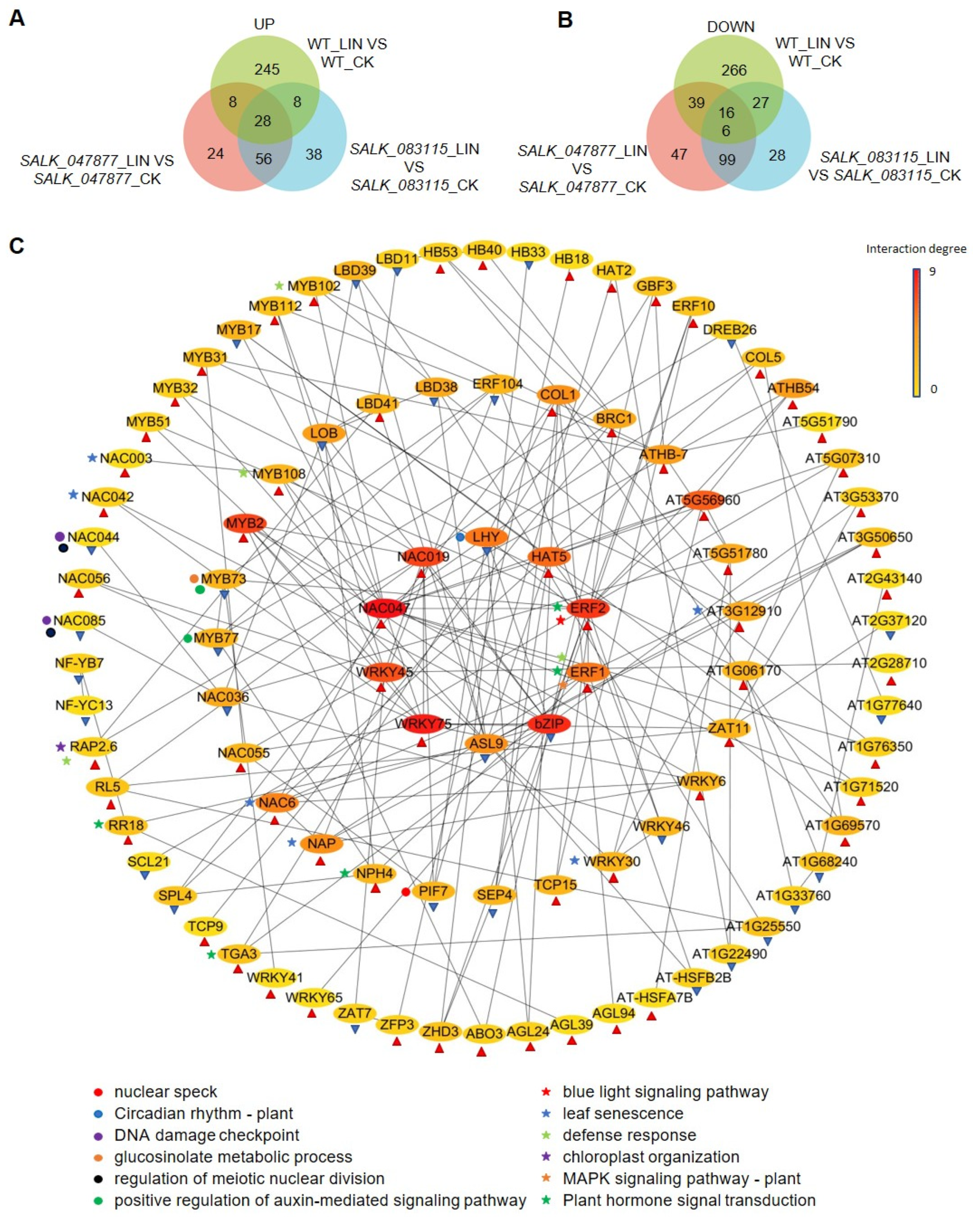 Ijms 25 07829 g008 Ijms 25 07829 g008