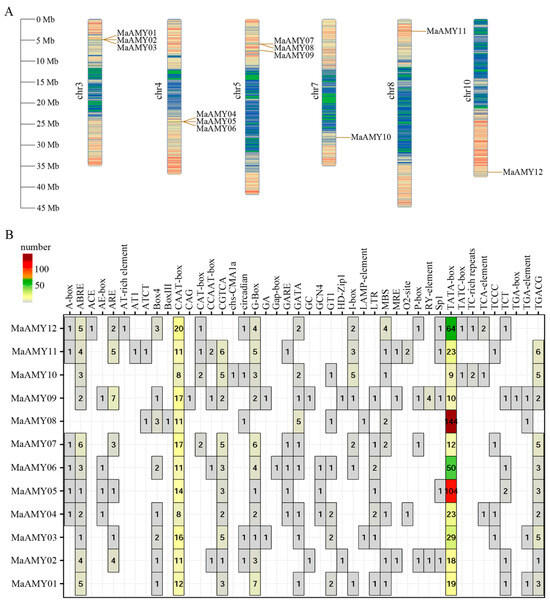 Molecular Characteristics and Functional Identification of a Key