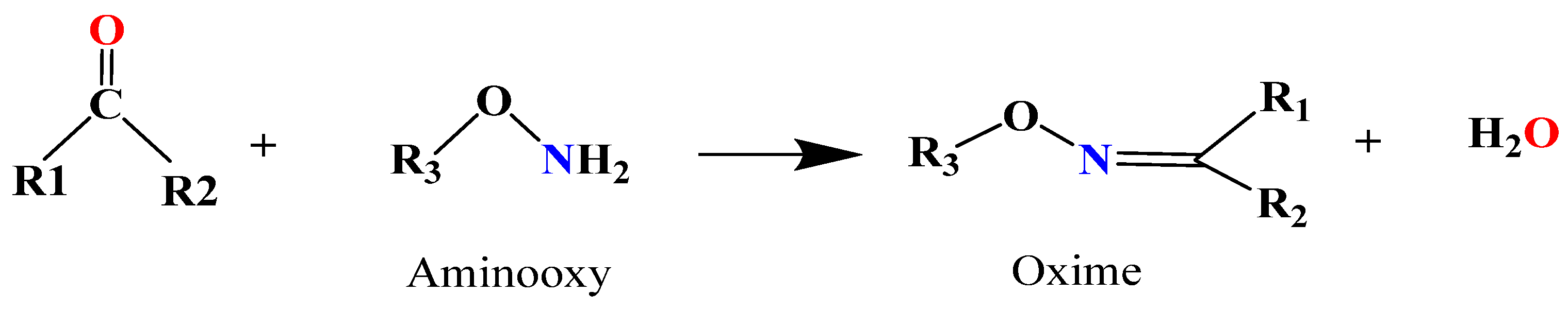 Ijms 25 07839 sch001