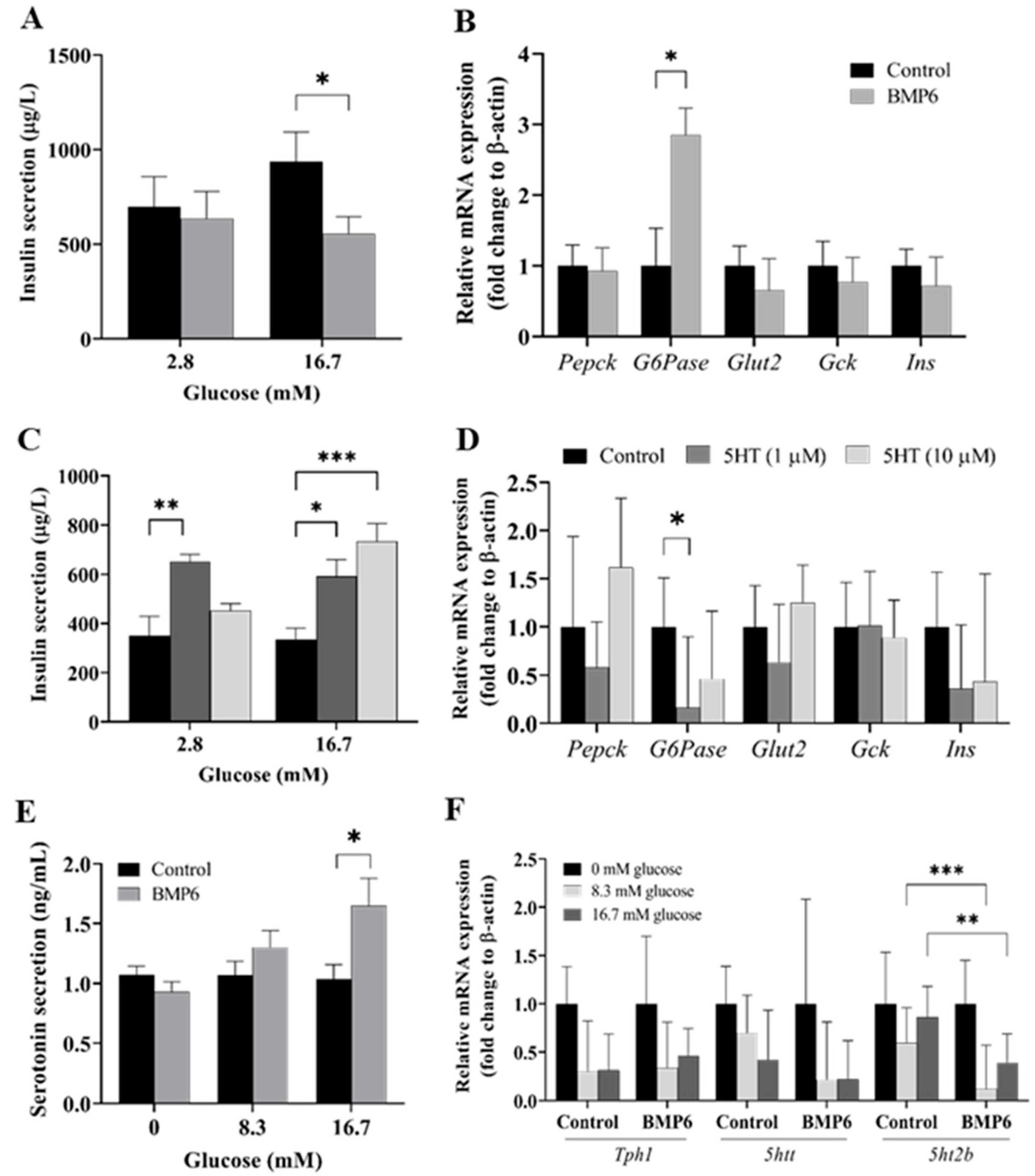 Ijms 25 07842 g001 Ijms 25 07842 g001