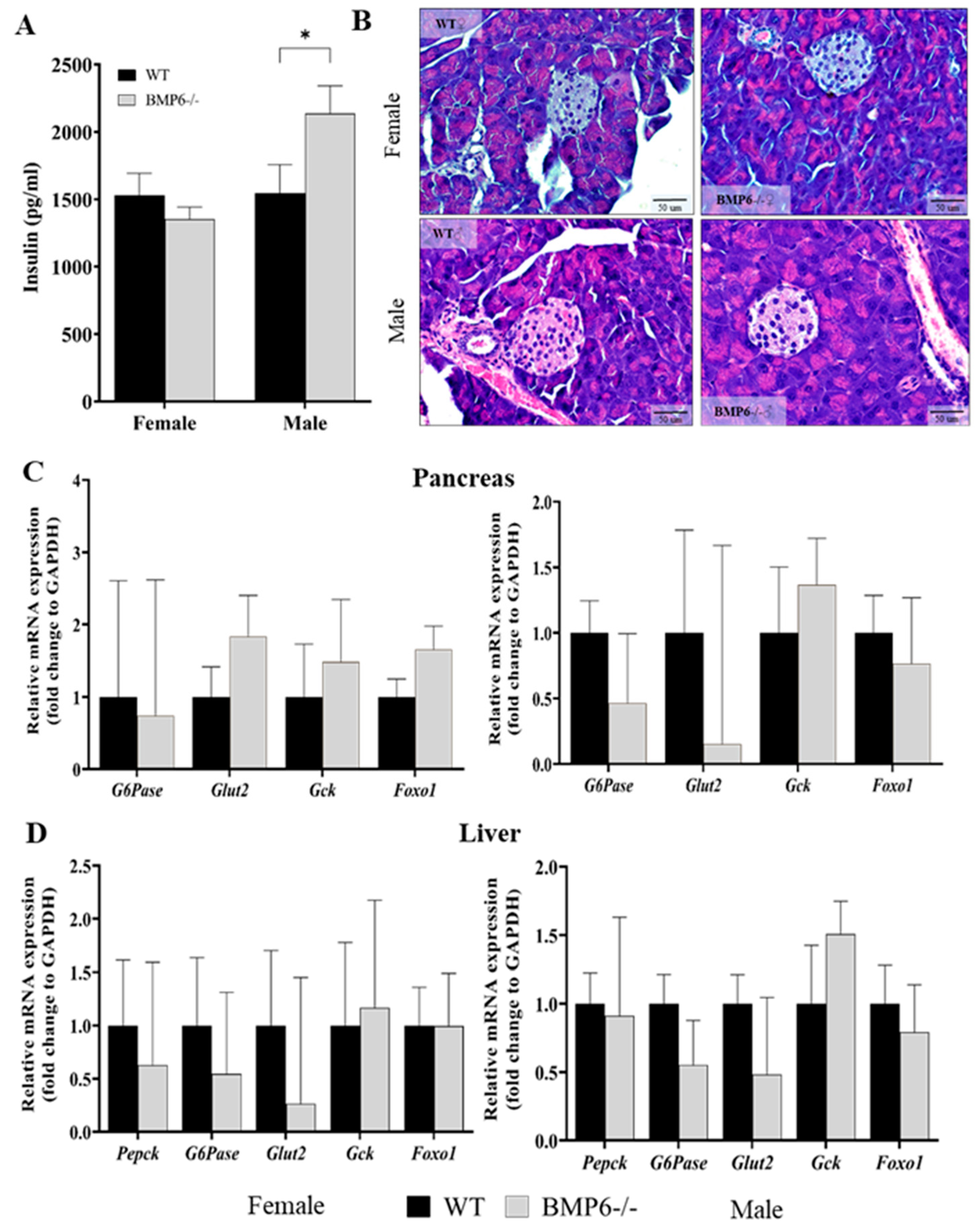 Ijms 25 07842 g003 Ijms 25 07842 g003