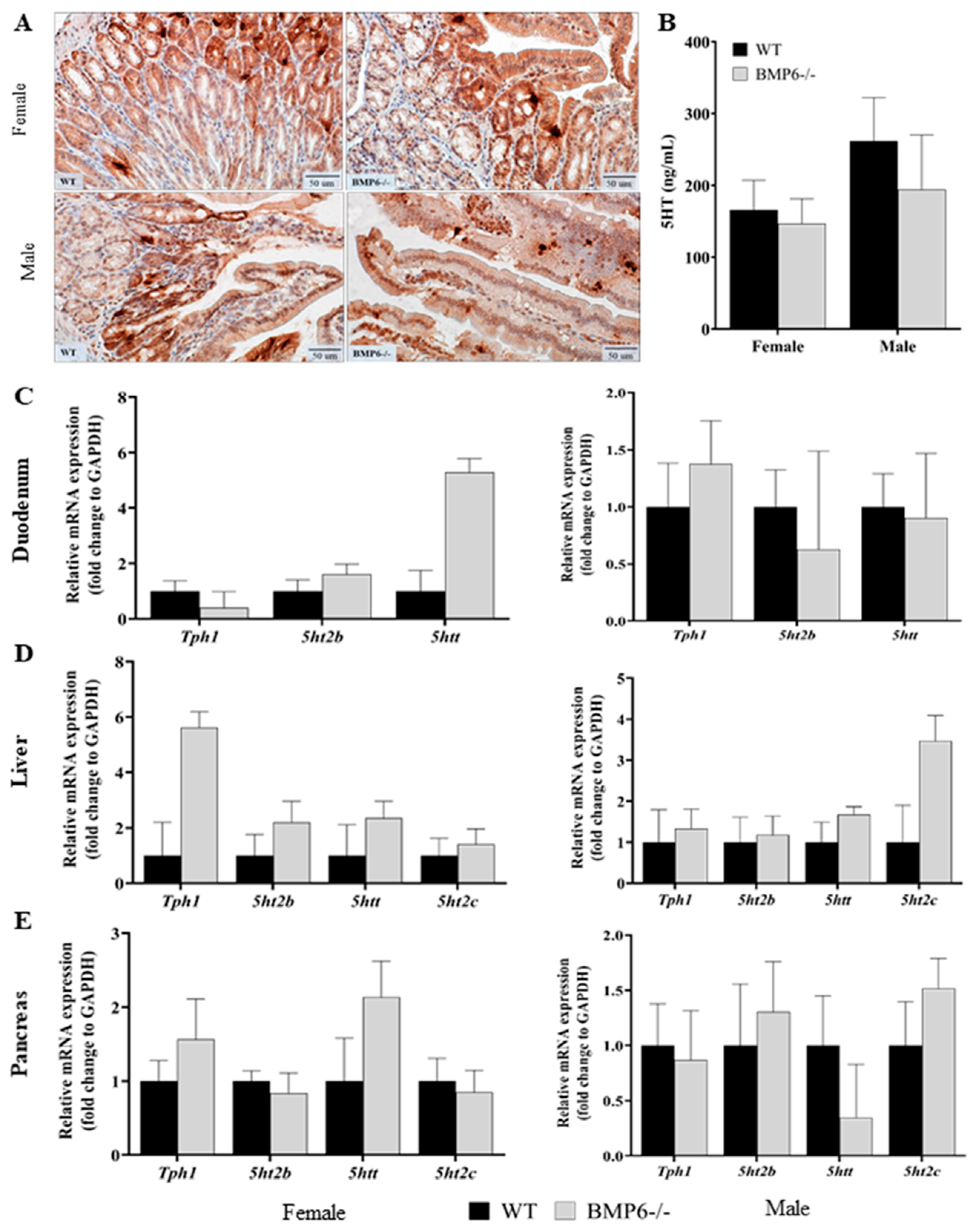 Ijms 25 07842 g004 Ijms 25 07842 g004