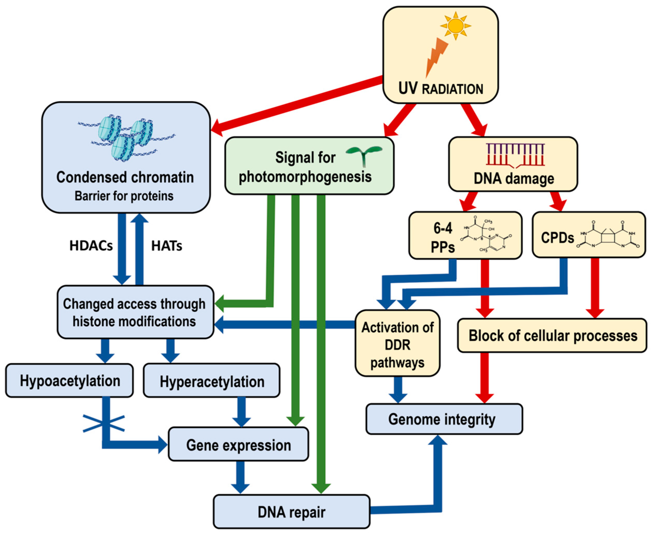 Ijms 25 07851 g002 Ijms 25 07851 g002