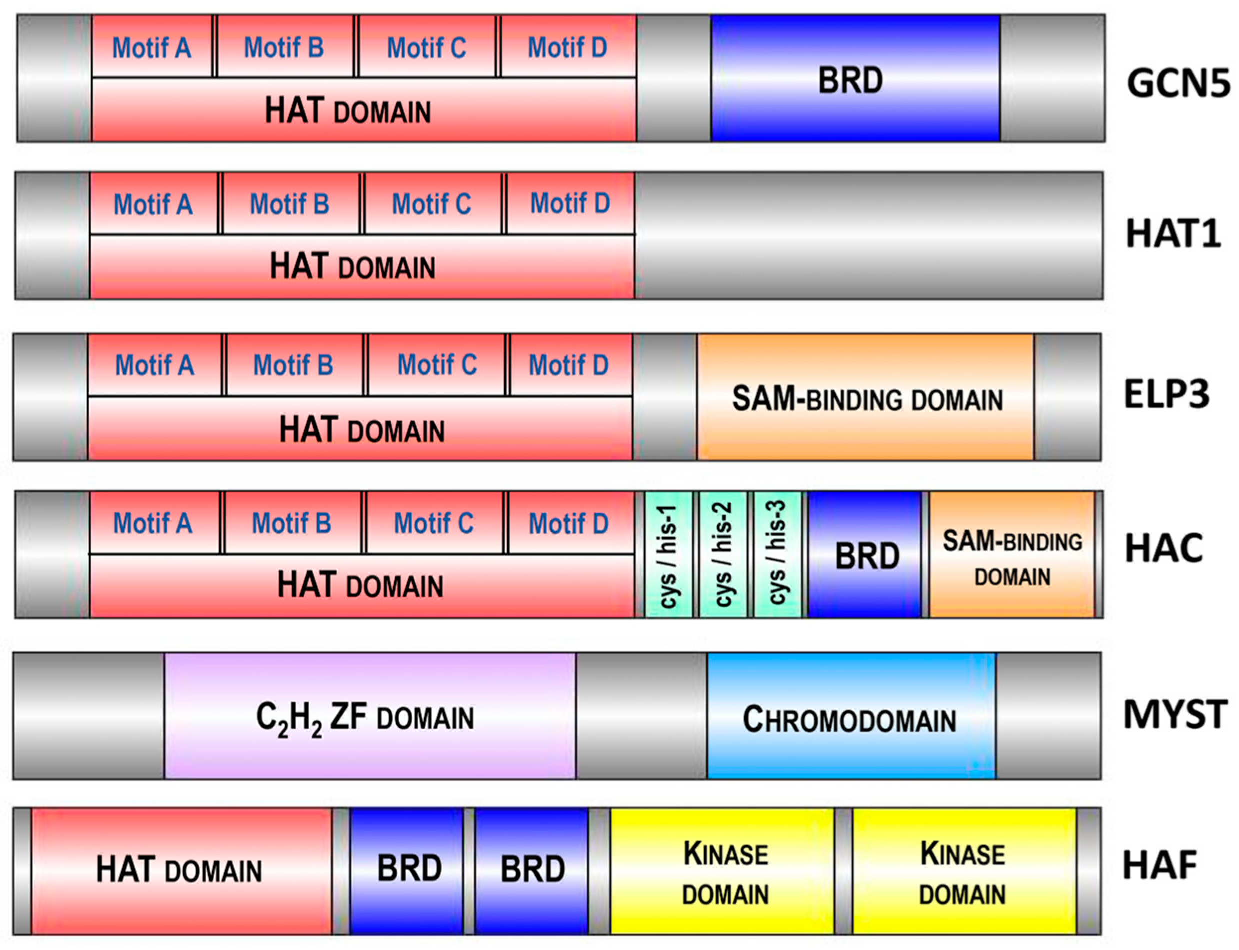Ijms 25 07851 g003 Ijms 25 07851 g003