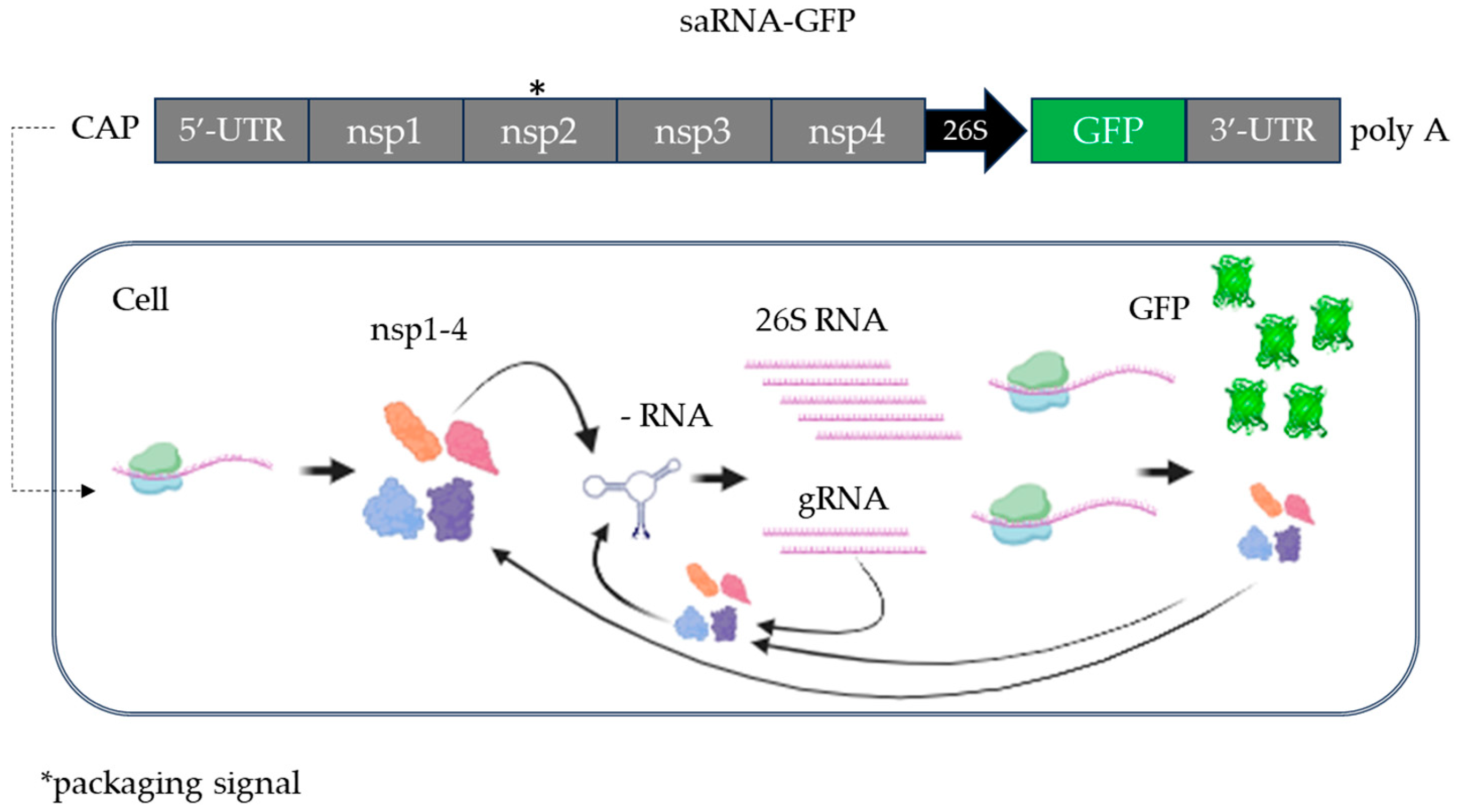Ijms 25 07859 sch001