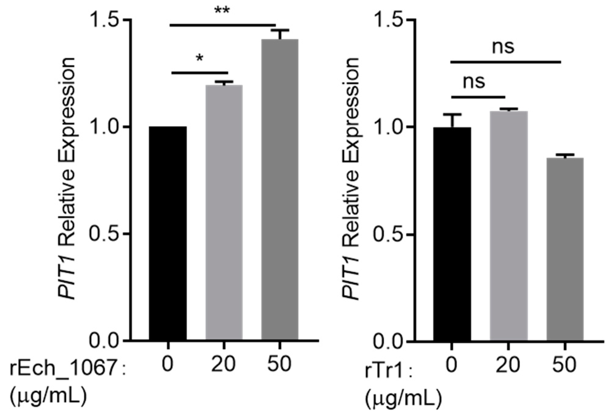 Ijms 25 07895 g006 Ijms 25 07895 g006