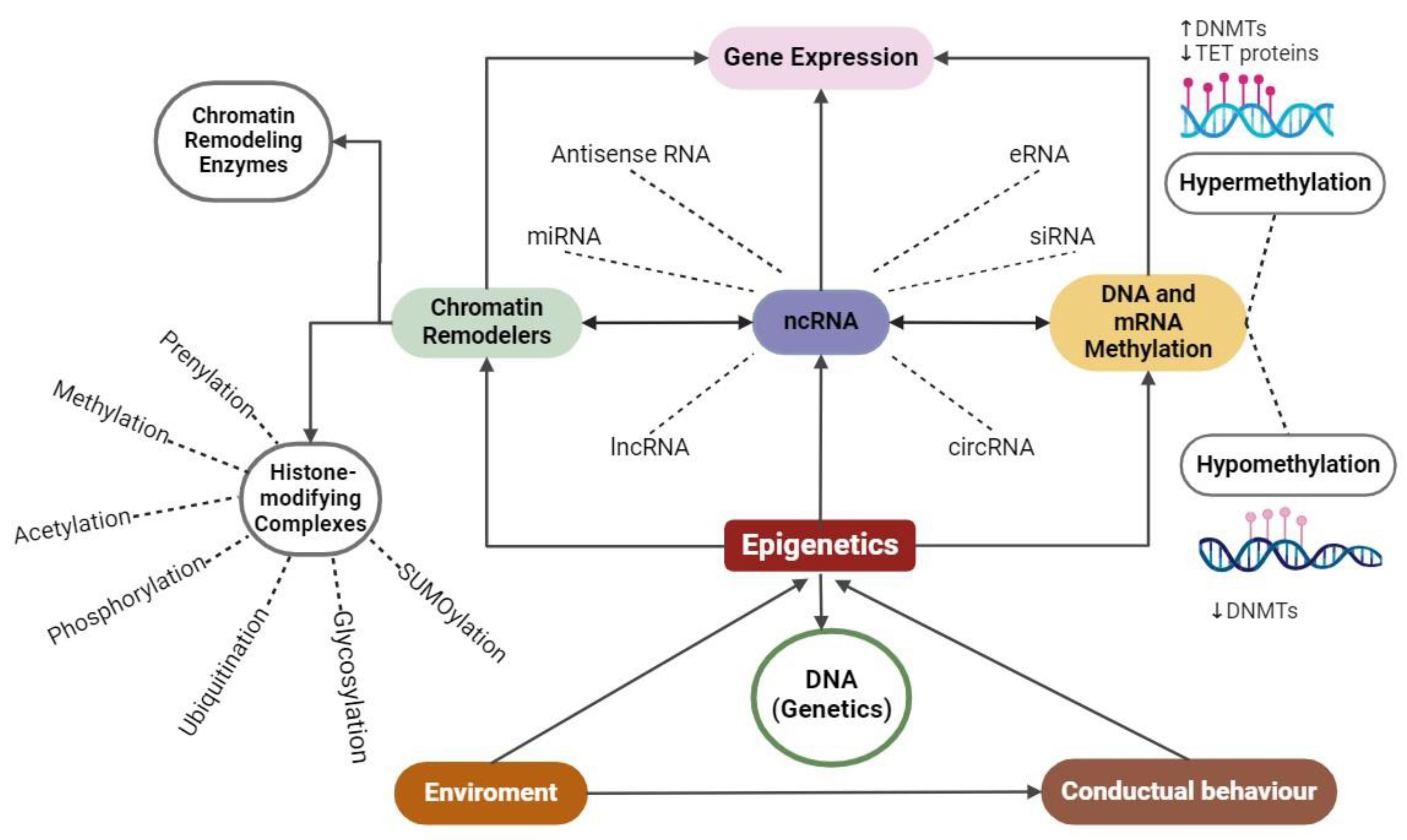 Ijms 25 07927 g002 Ijms 25 07927 g002