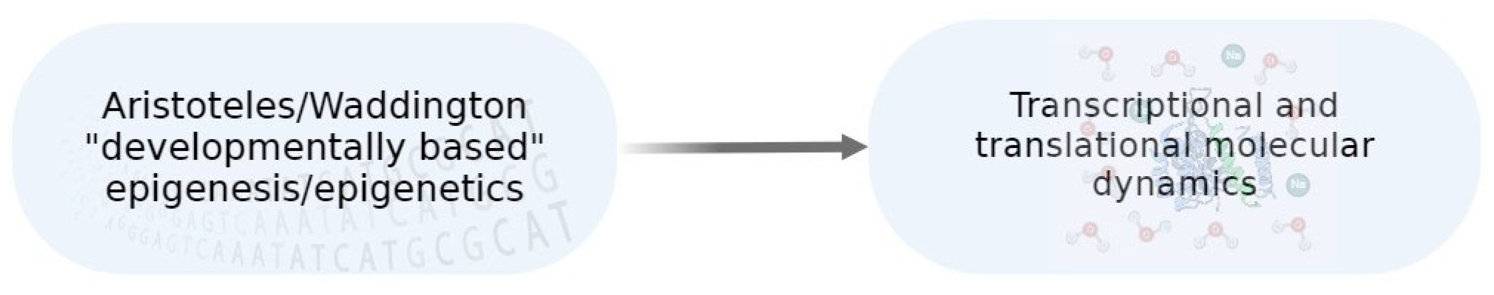 Ijms 25 07927 g005 Ijms 25 07927 g005