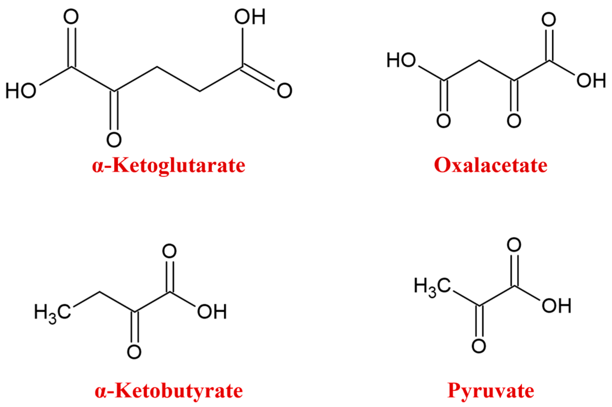 Ijms 25 07931 sch001