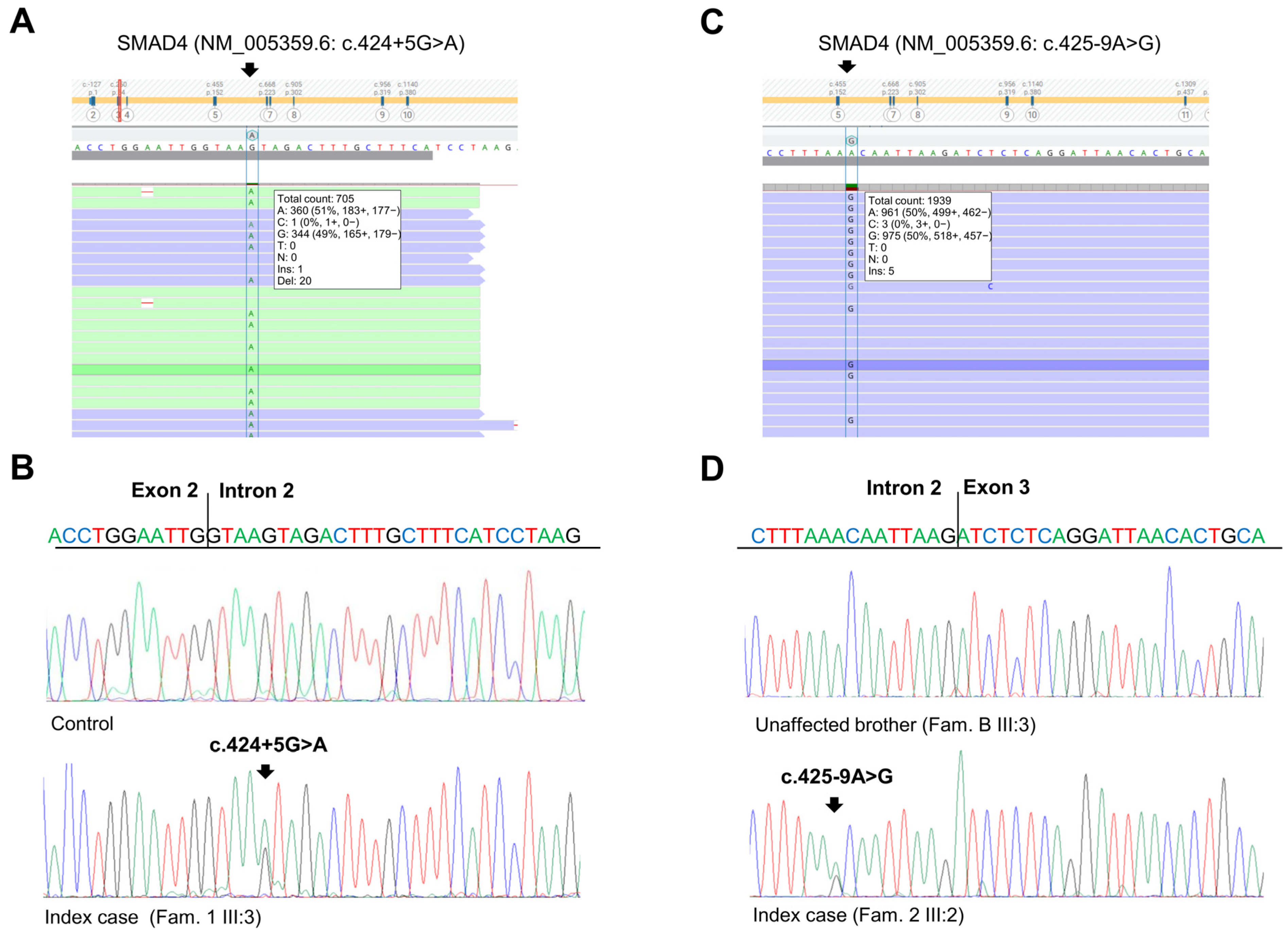 Ijms 25 07939 g002 Ijms 25 07939 g002