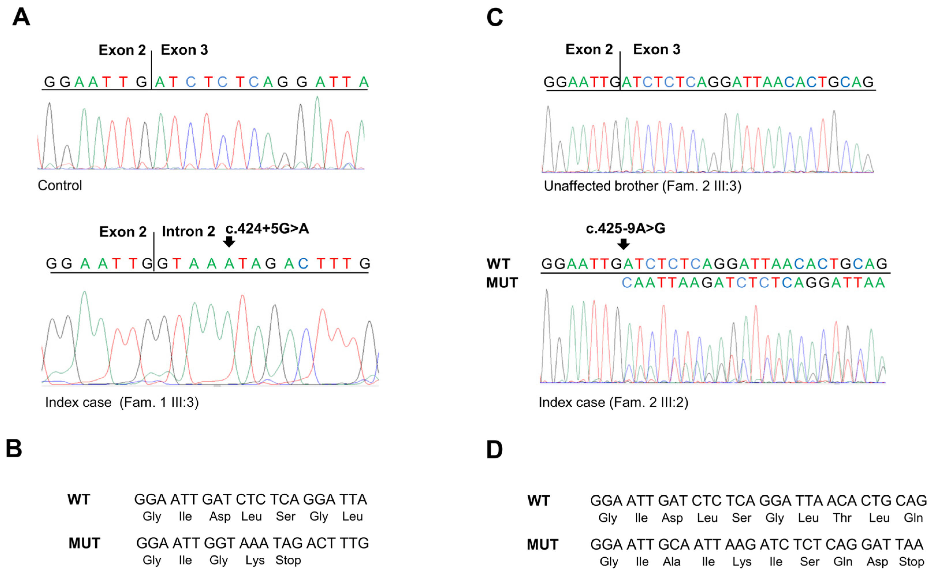 Ijms 25 07939 g004 Ijms 25 07939 g004