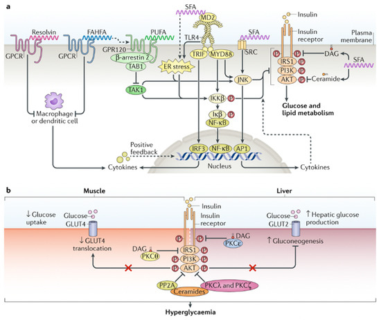 Cellular Senescence and Extracellular Vesicles in the Pathogenesis and ...