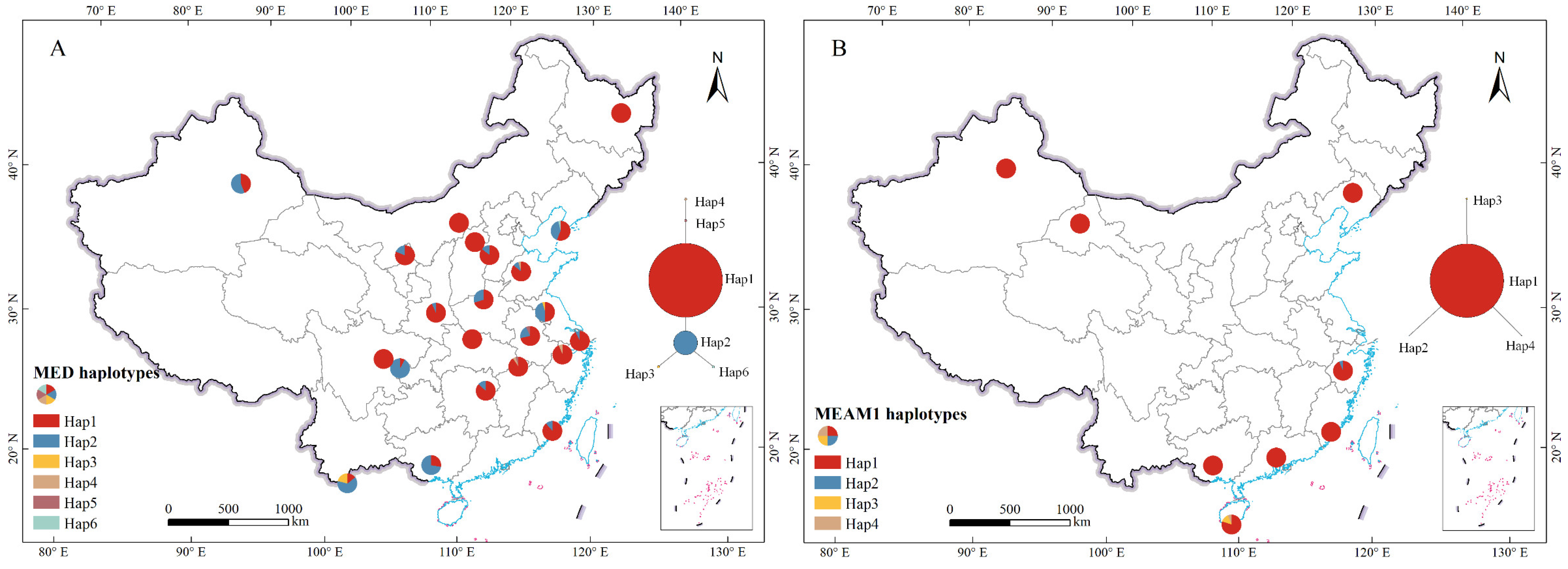 Ijms 25 07966 g001 Ijms 25 07966 g001