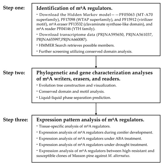 Transcriptome-Wide Identification of m6A Writers, Erasers and Readers ...