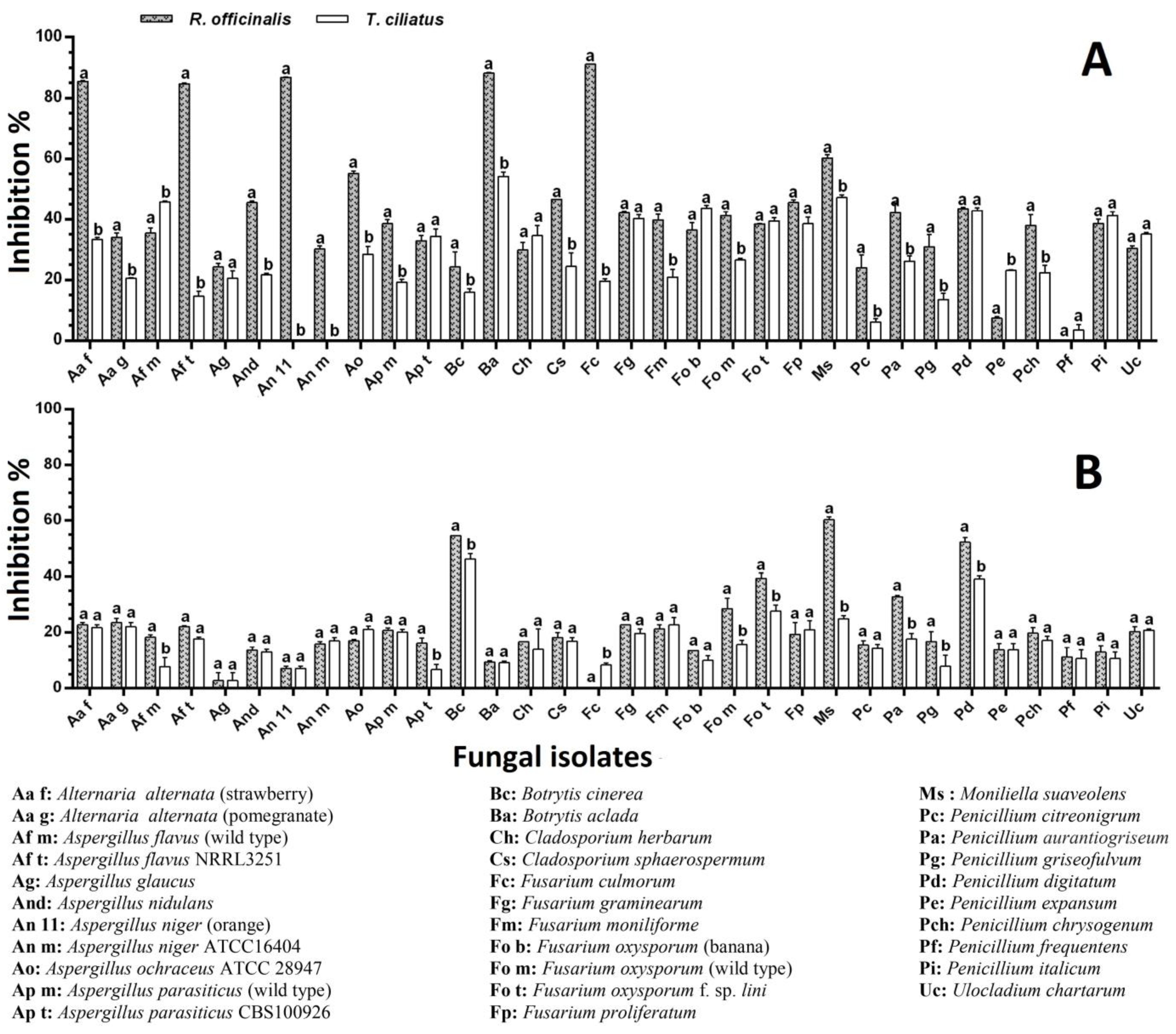 Ijms 25 07989 g001 Ijms 25 07989 g001
