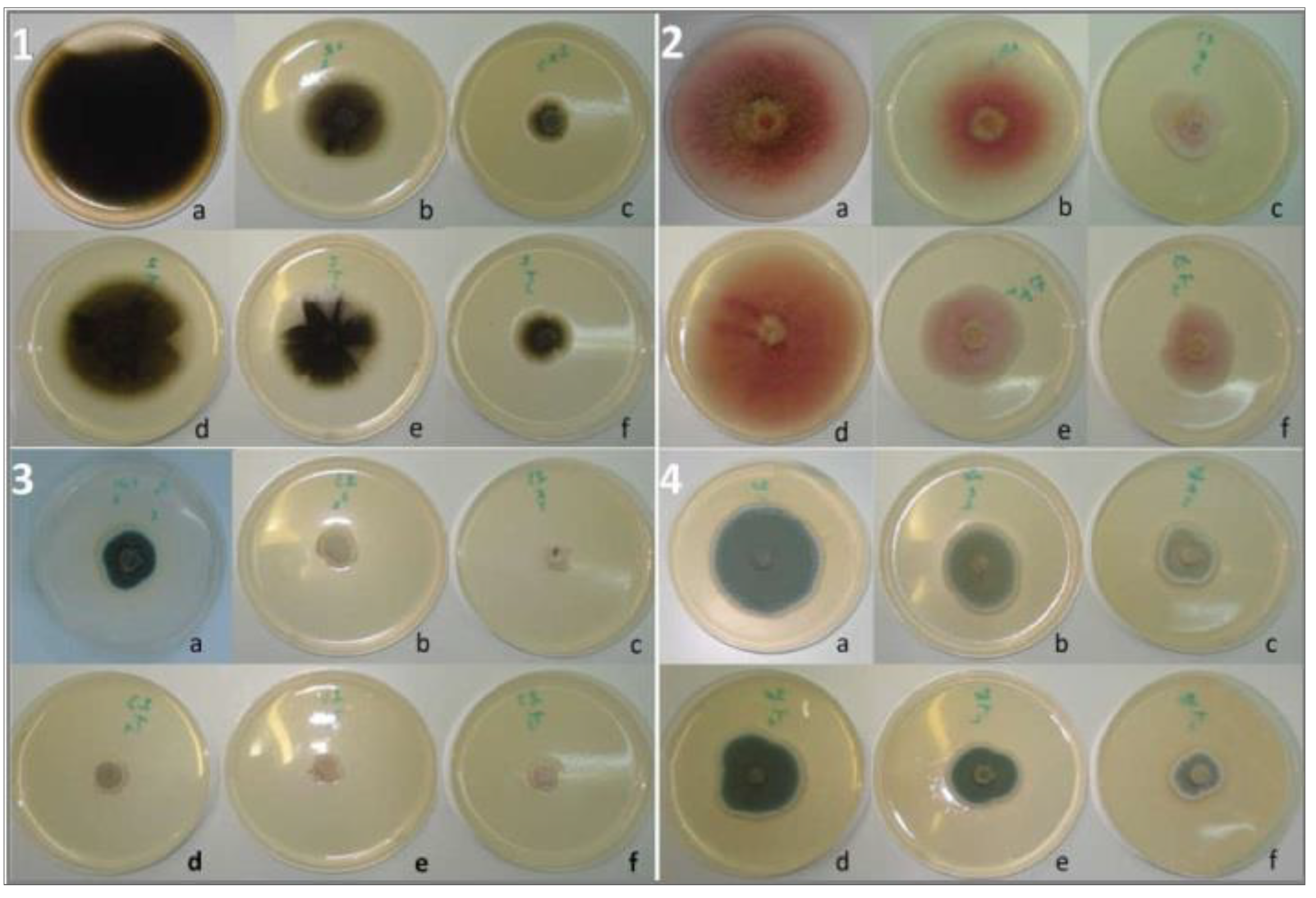 Ijms 25 07989 g006 Ijms 25 07989 g006