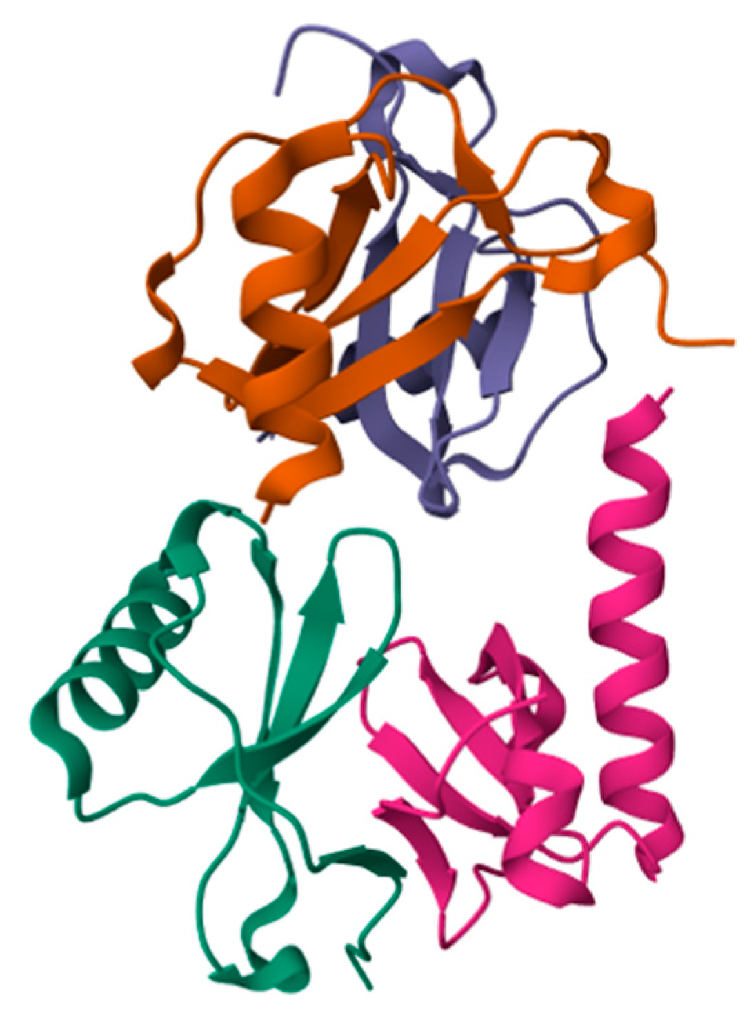 Ijms 25 08007 g002 Ijms 25 08007 g002