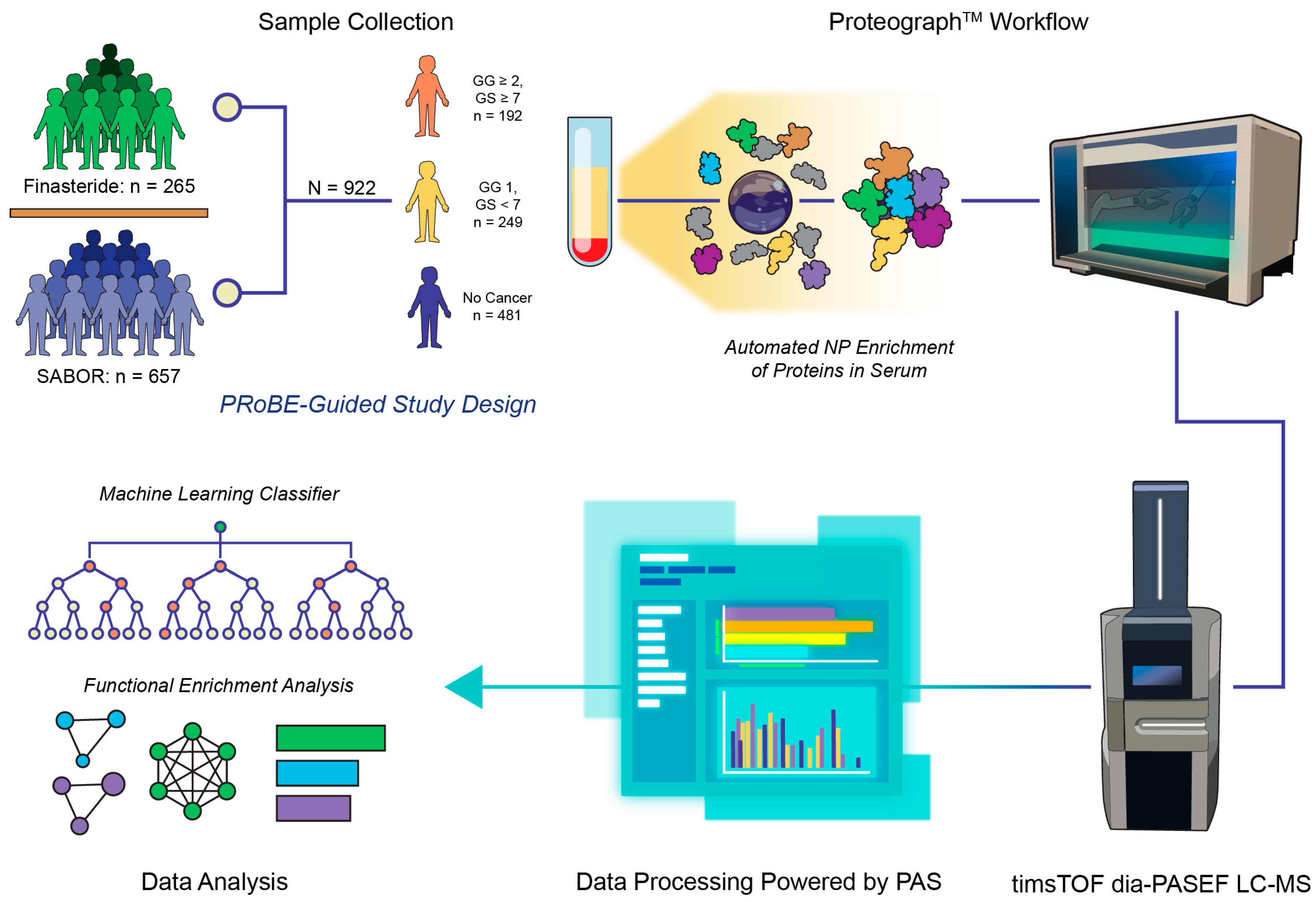 Ijms 25 08010 g001 Ijms 25 08010 g001
