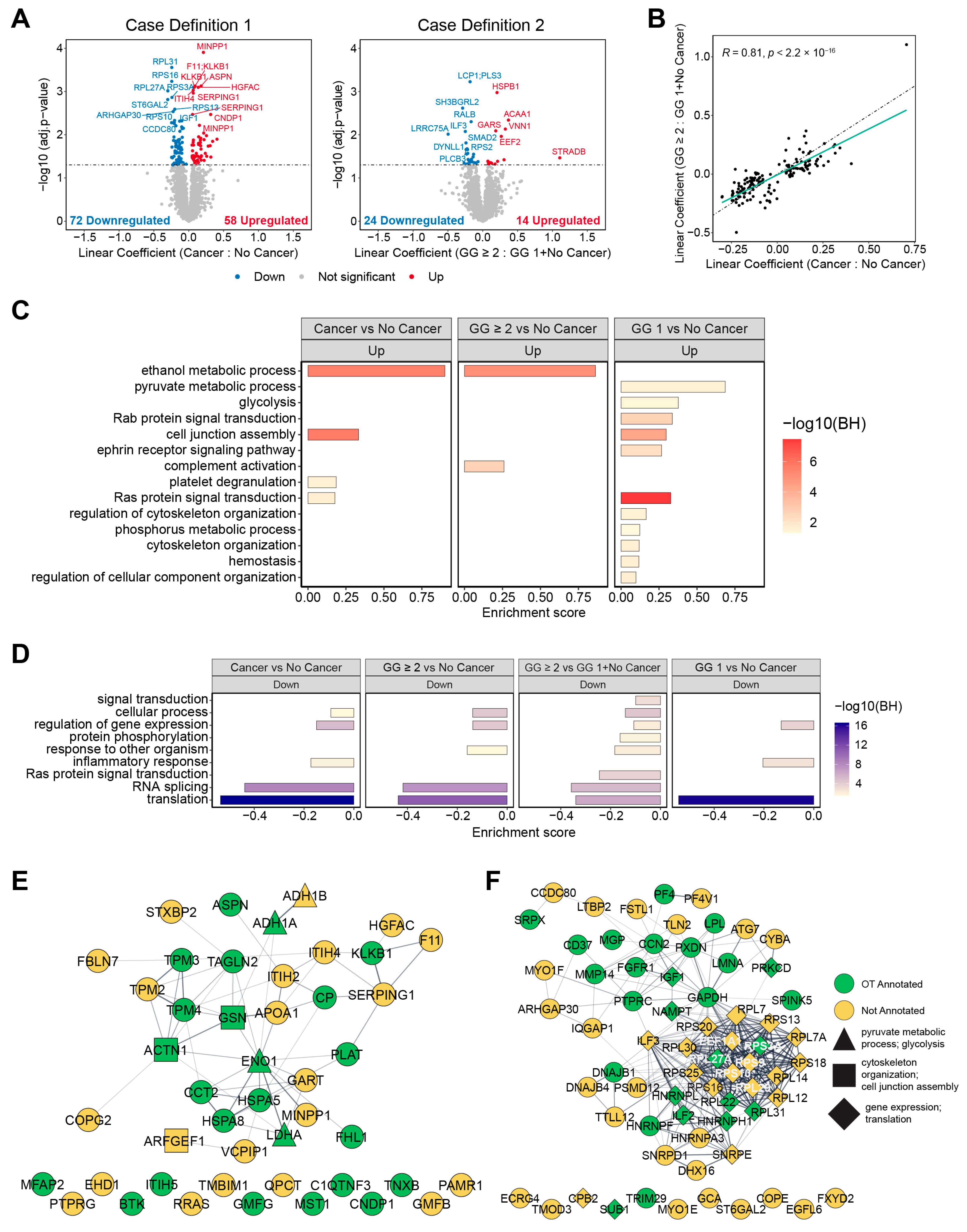 Ijms 25 08010 g003 Ijms 25 08010 g003