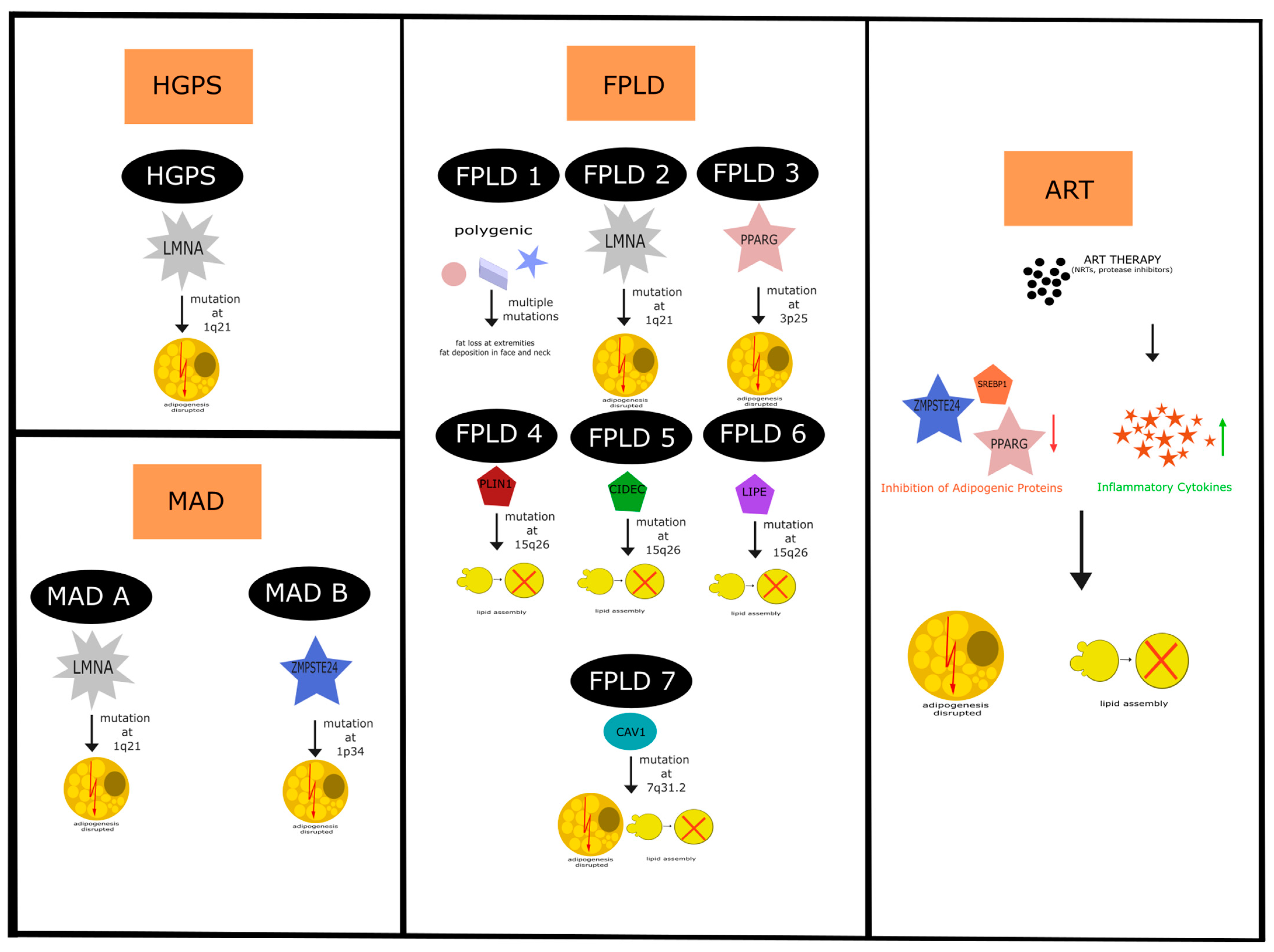 Ijms 25 08020 g002 Ijms 25 08020 g002