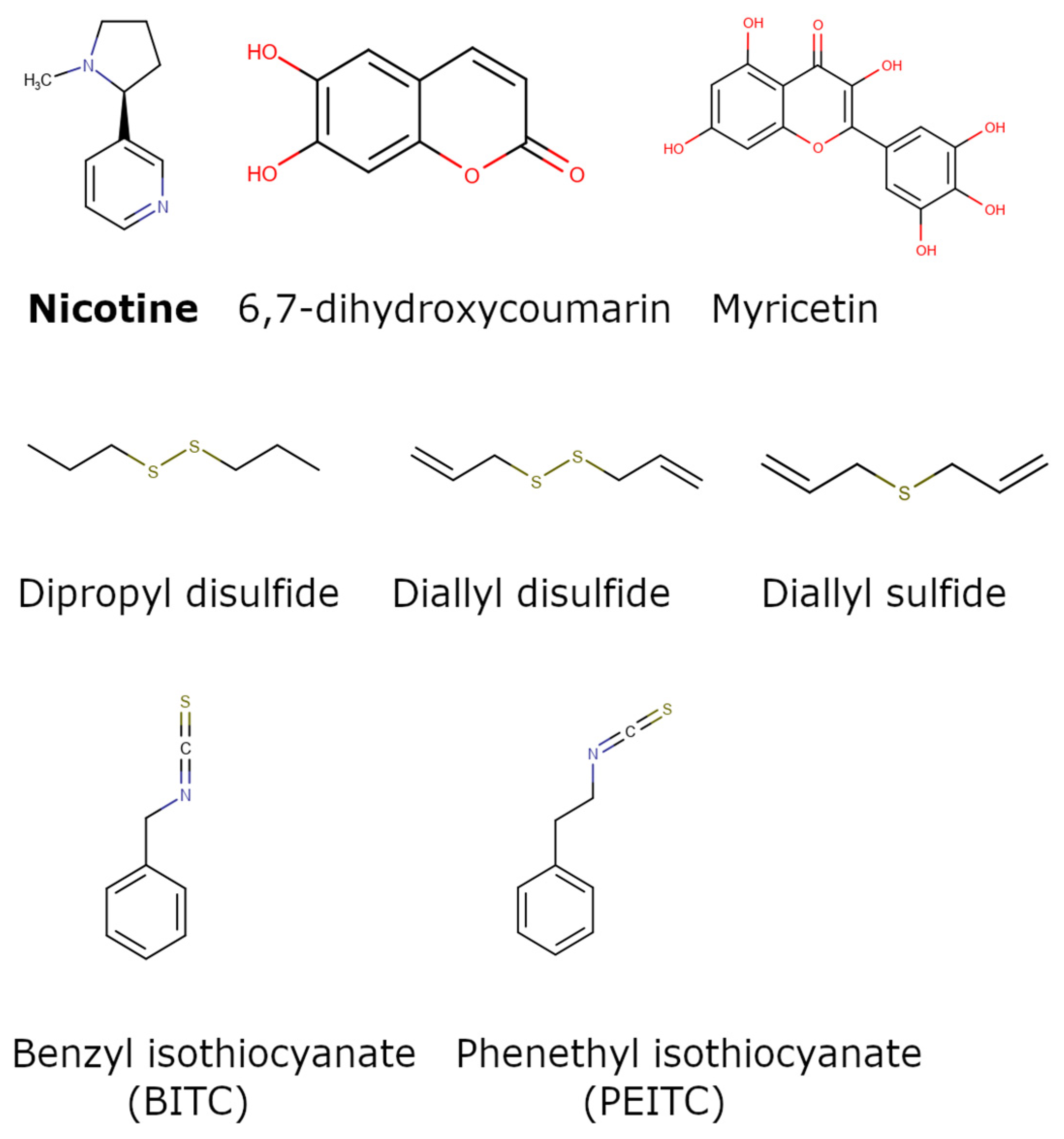 Ijms 25 08031 g003 Ijms 25 08031 g003