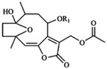 Ijms 25 08031 i010 Ijms 25 08031 i010