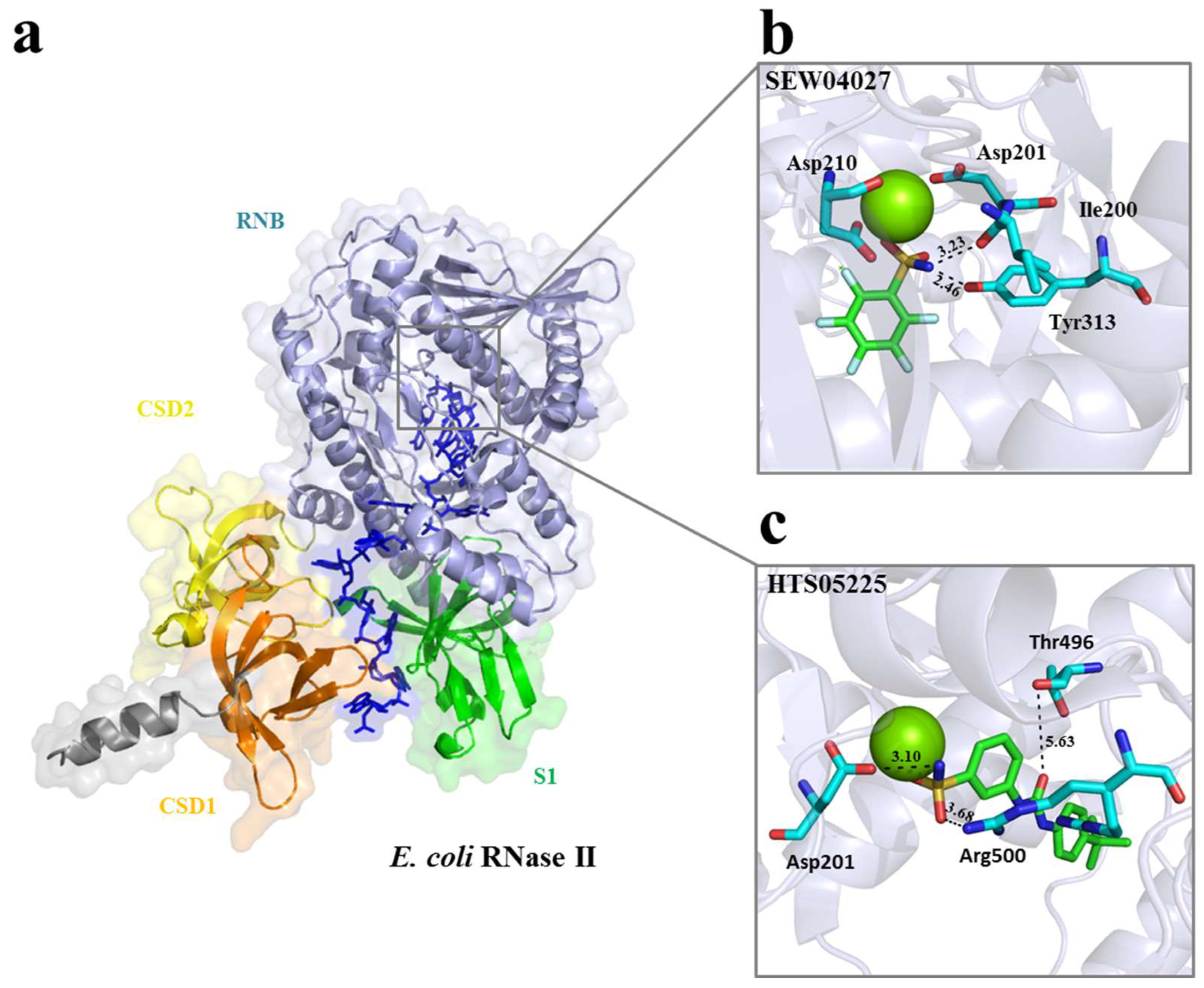 Ijms 25 08048 g001 Ijms 25 08048 g001