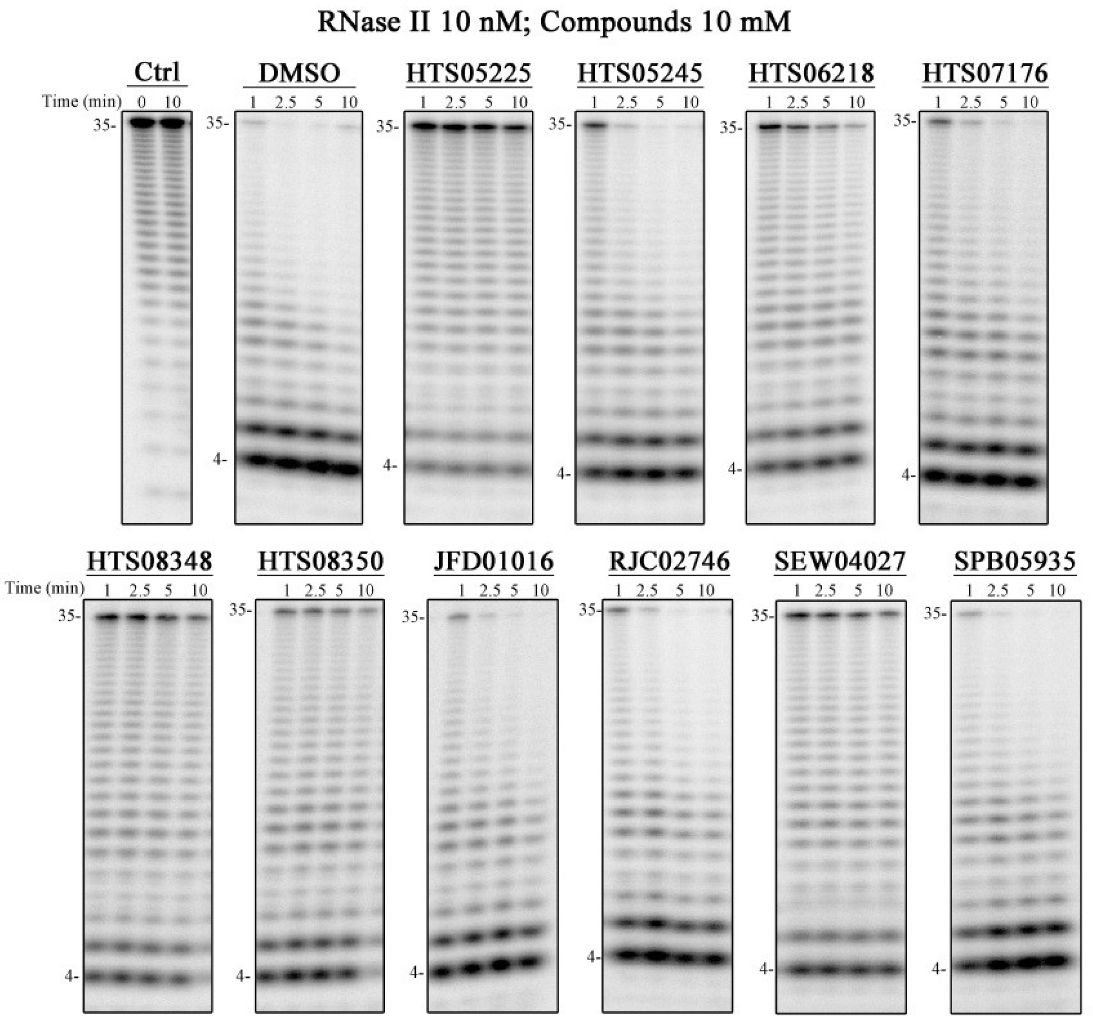 Ijms 25 08048 g003 Ijms 25 08048 g003