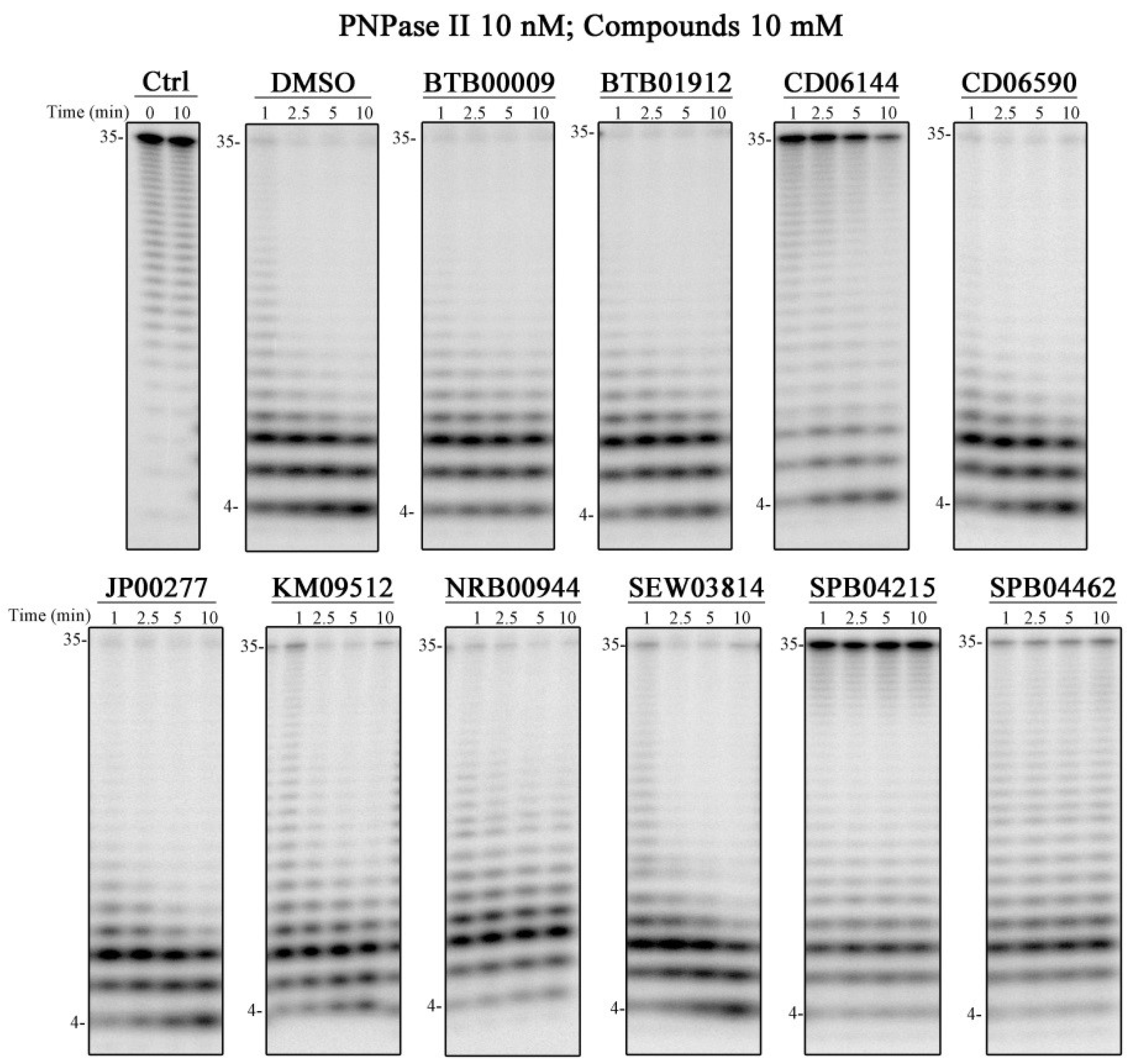 Ijms 25 08048 g005 Ijms 25 08048 g005