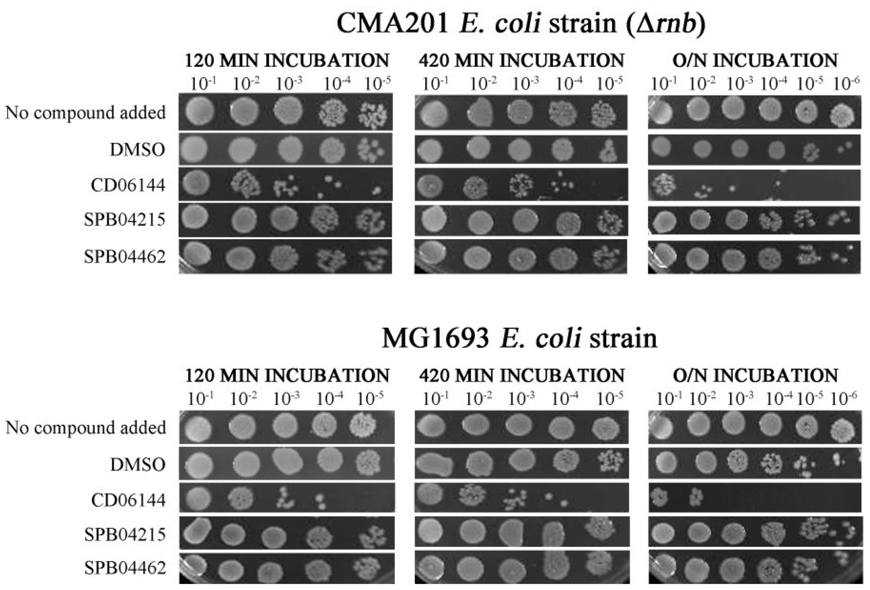 Ijms 25 08048 g006 Ijms 25 08048 g006