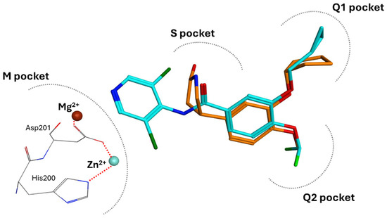 PDE4D: A Multipurpose Pharmacological Target