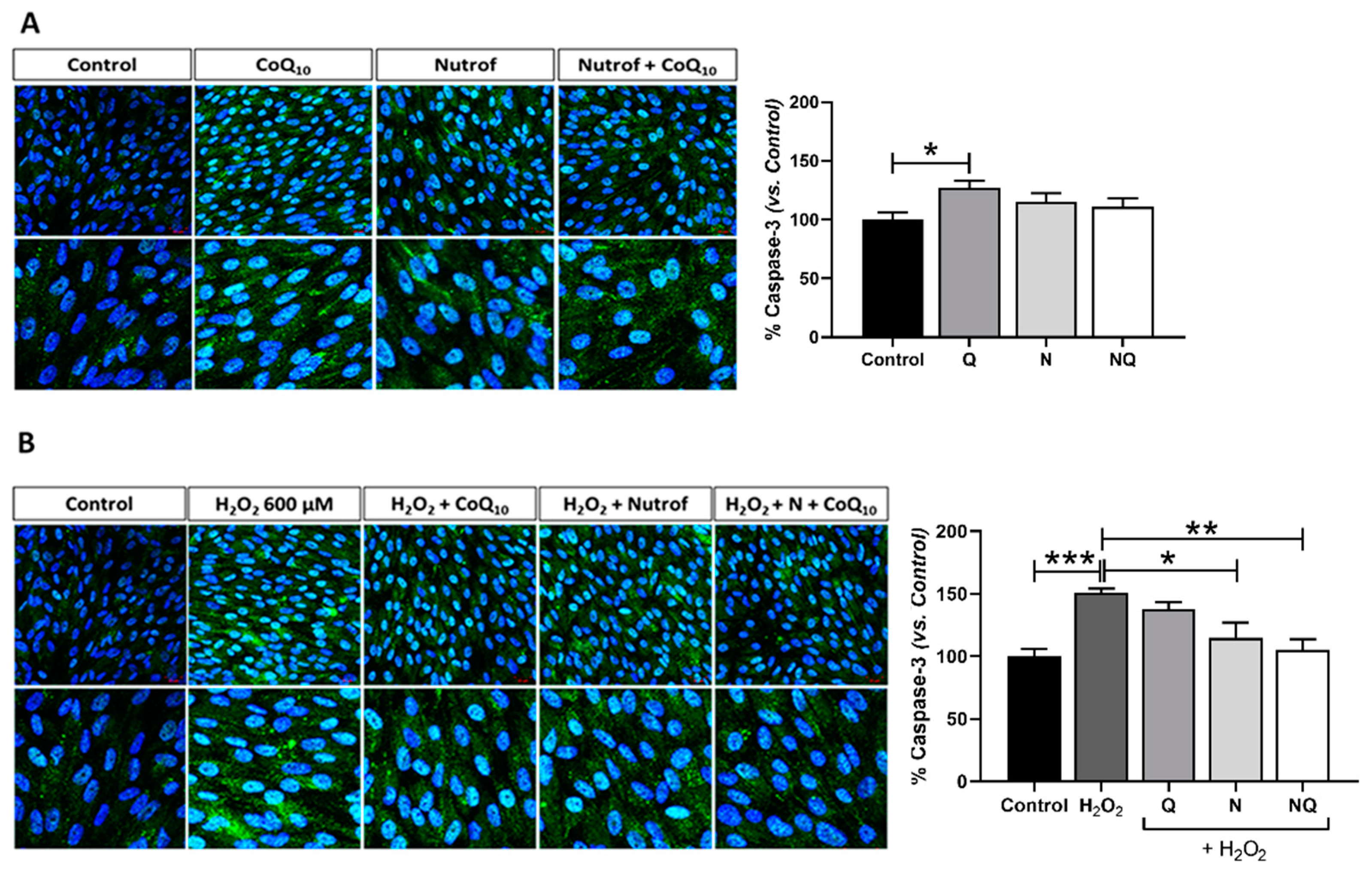 Ijms 25 08070 g002 Ijms 25 08070 g002