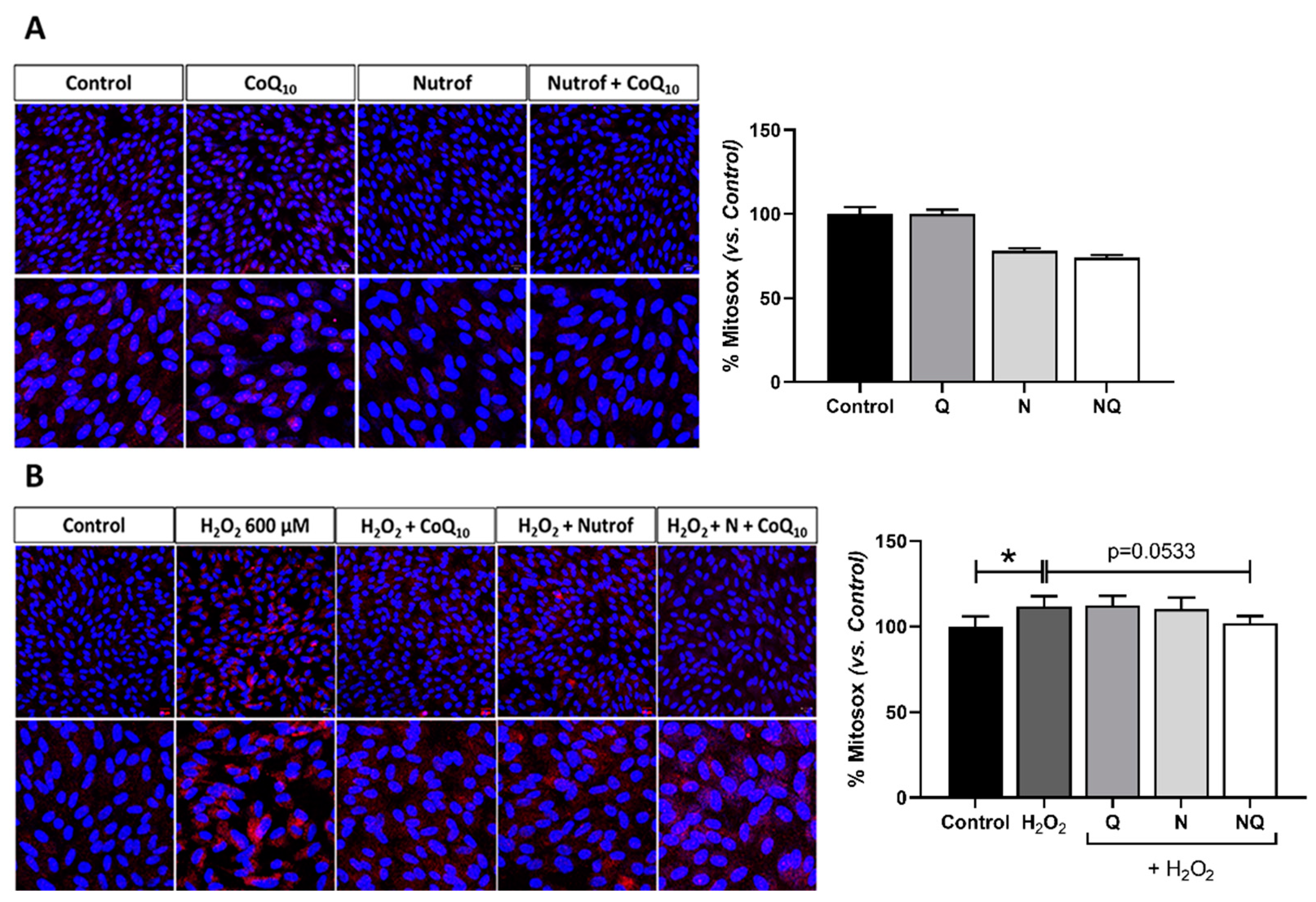 Ijms 25 08070 g008 Ijms 25 08070 g008