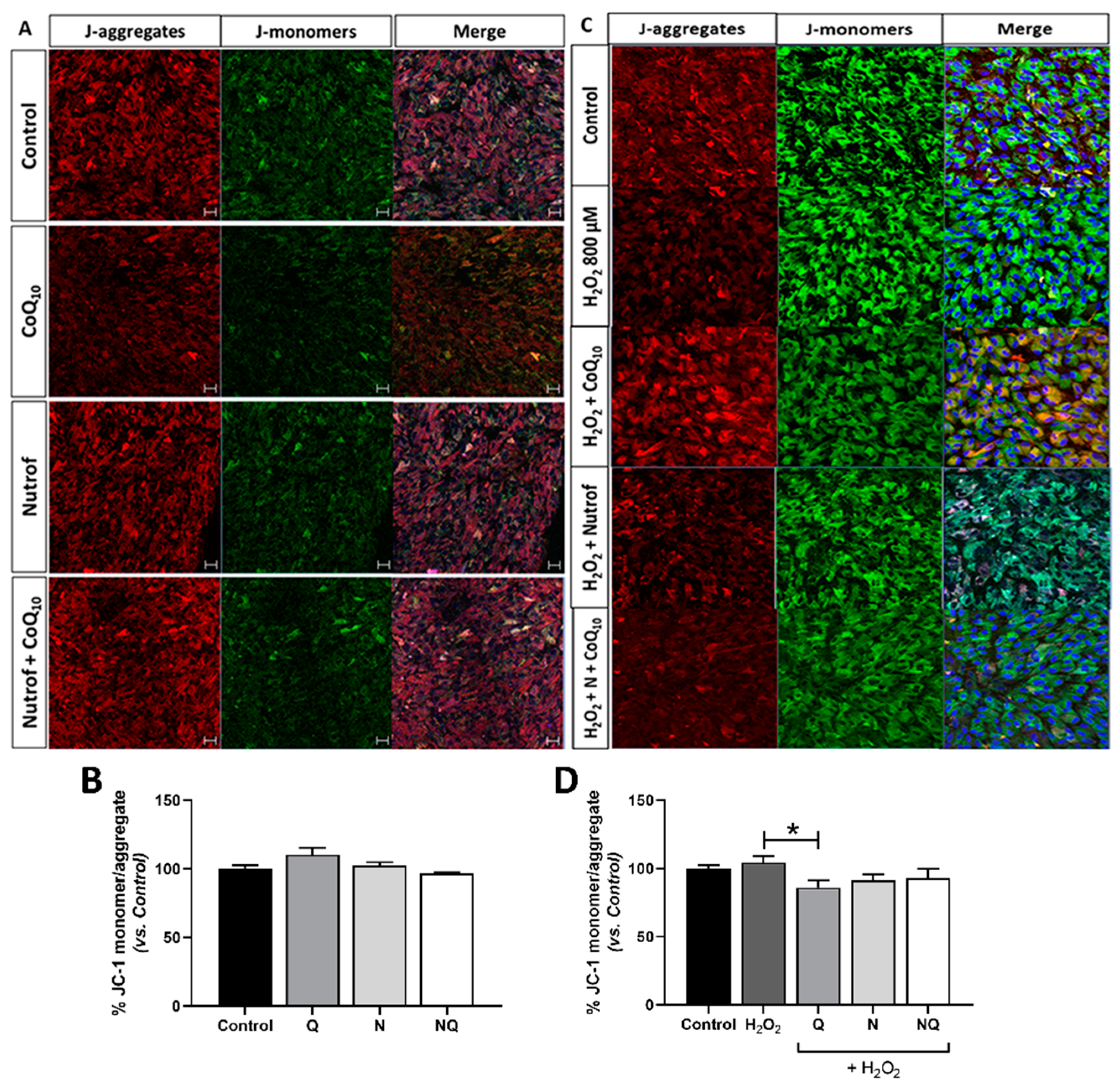 Ijms 25 08070 g010 Ijms 25 08070 g010