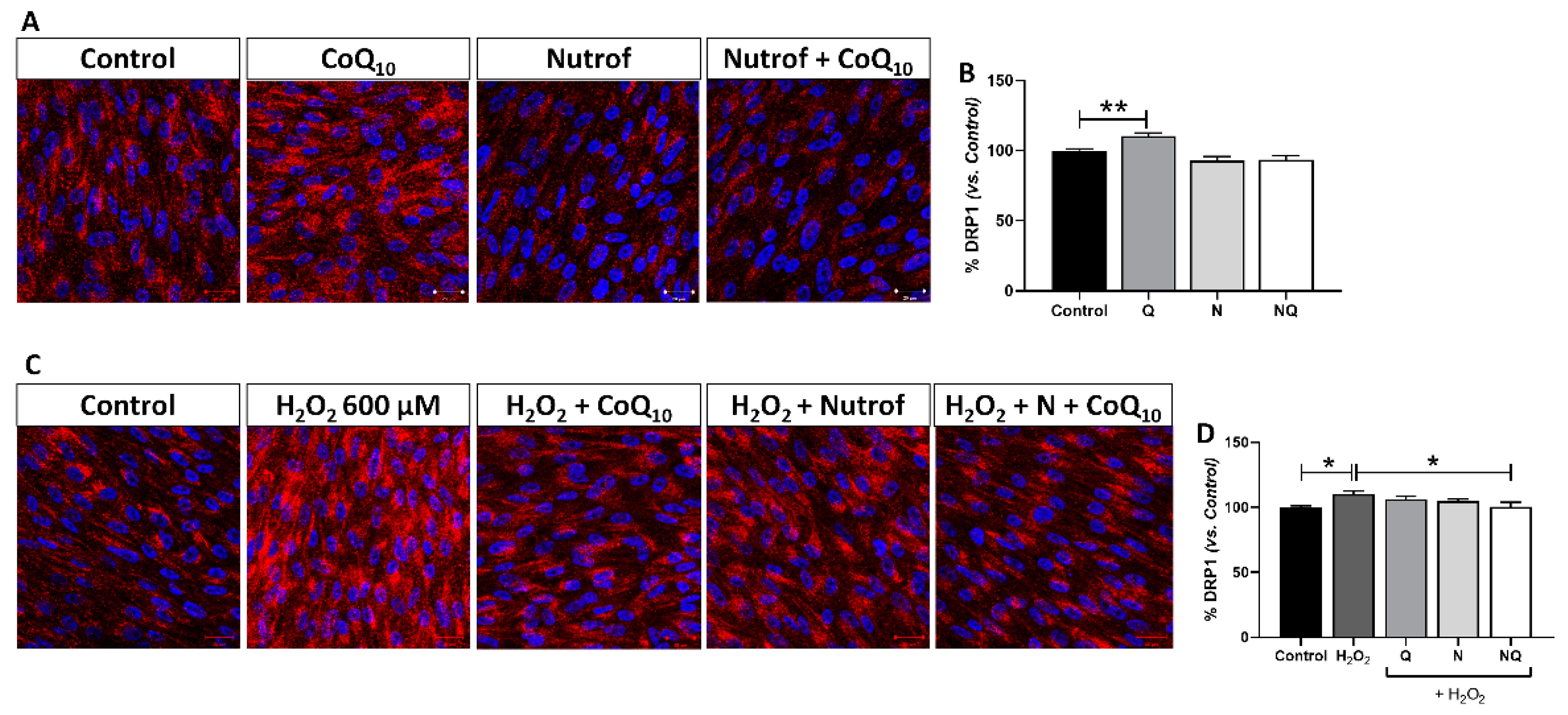 Ijms 25 08070 g011 Ijms 25 08070 g011