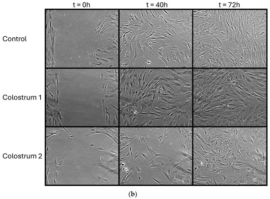 Biologically Active Sheep Colostrum for Topical Treatment and Skin Care