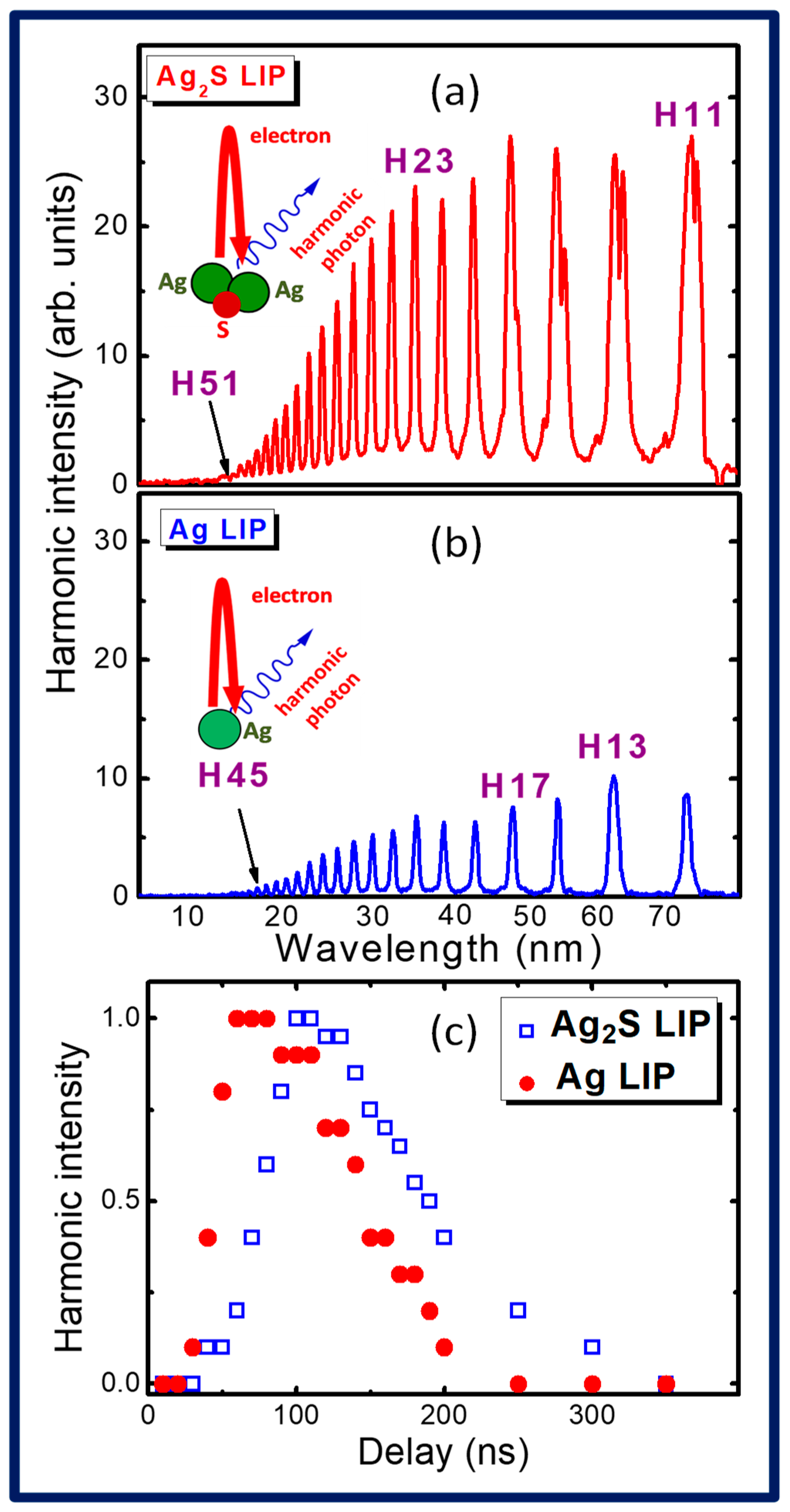 Ijms 25 08106 g001 Ijms 25 08106 g001