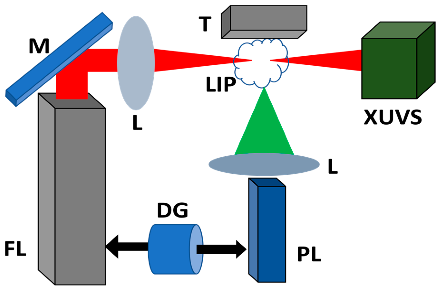 Ijms 25 08106 g004 Ijms 25 08106 g004
