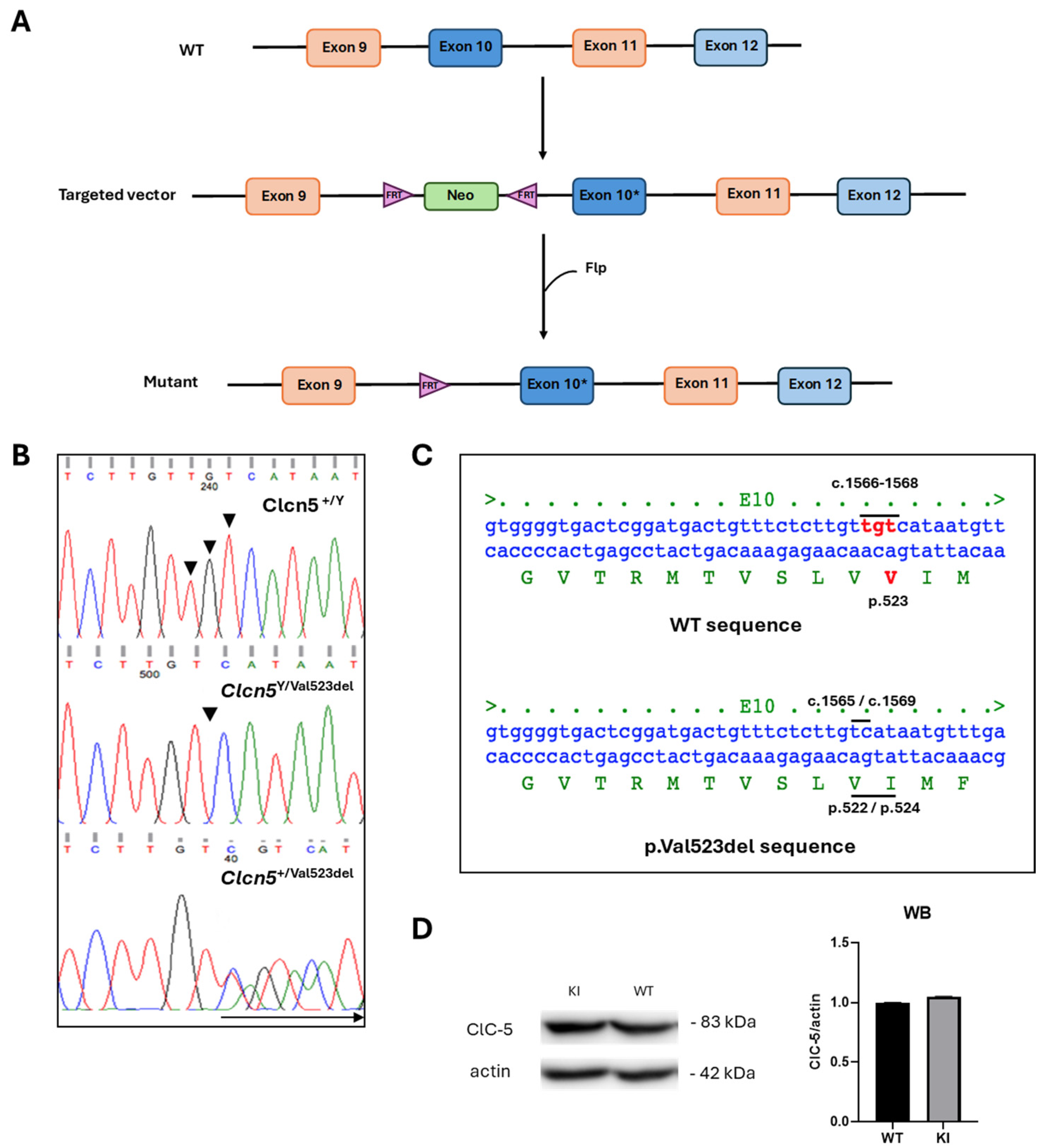 Ijms 25 08110 g001 Ijms 25 08110 g001