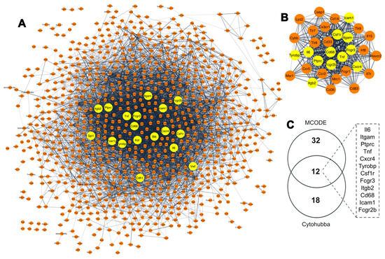 Transcriptome Profiling of Mouse Embryonic Fibroblast Spontaneous