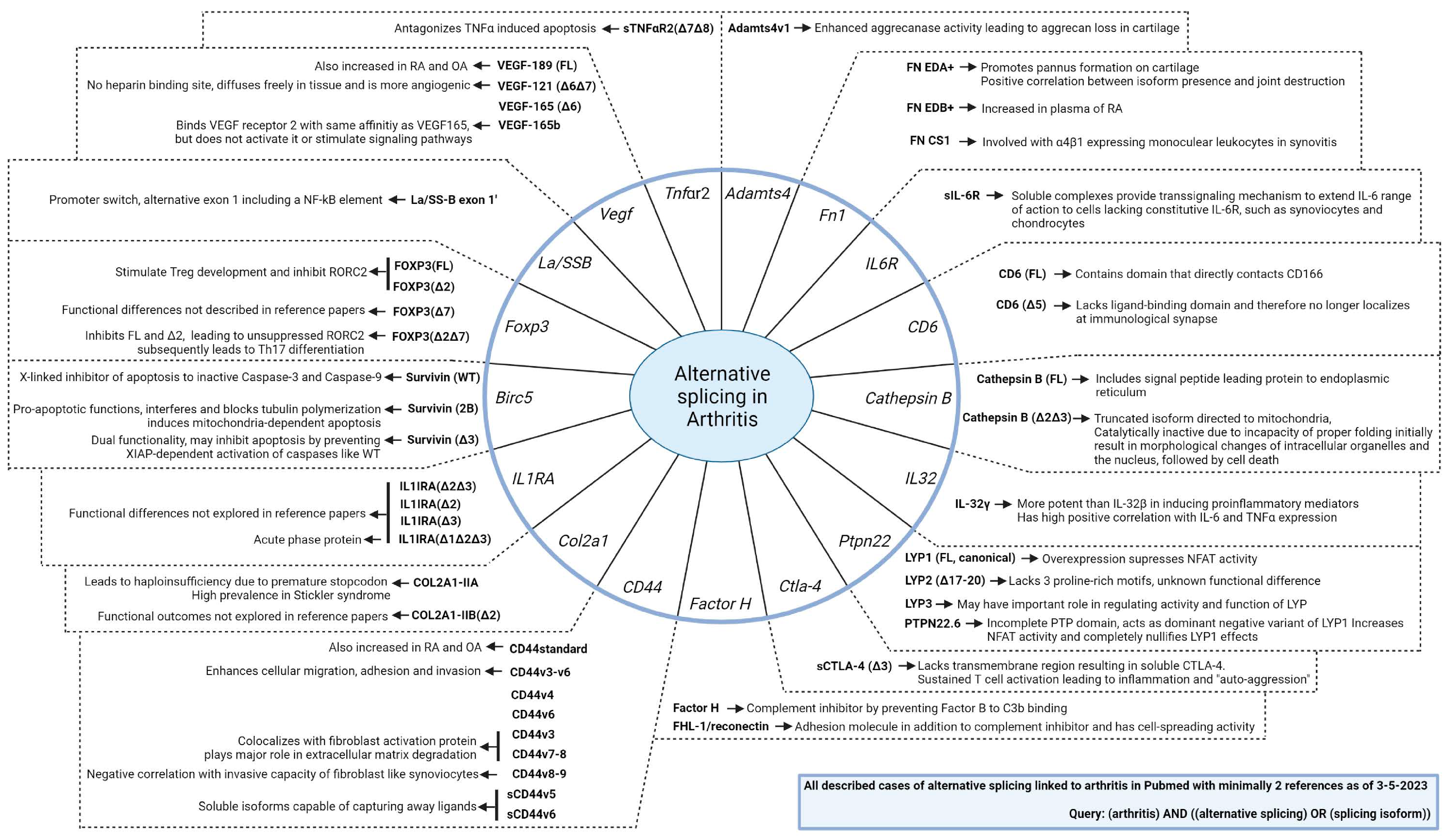 Ijms 25 08123 g004 Ijms 25 08123 g004