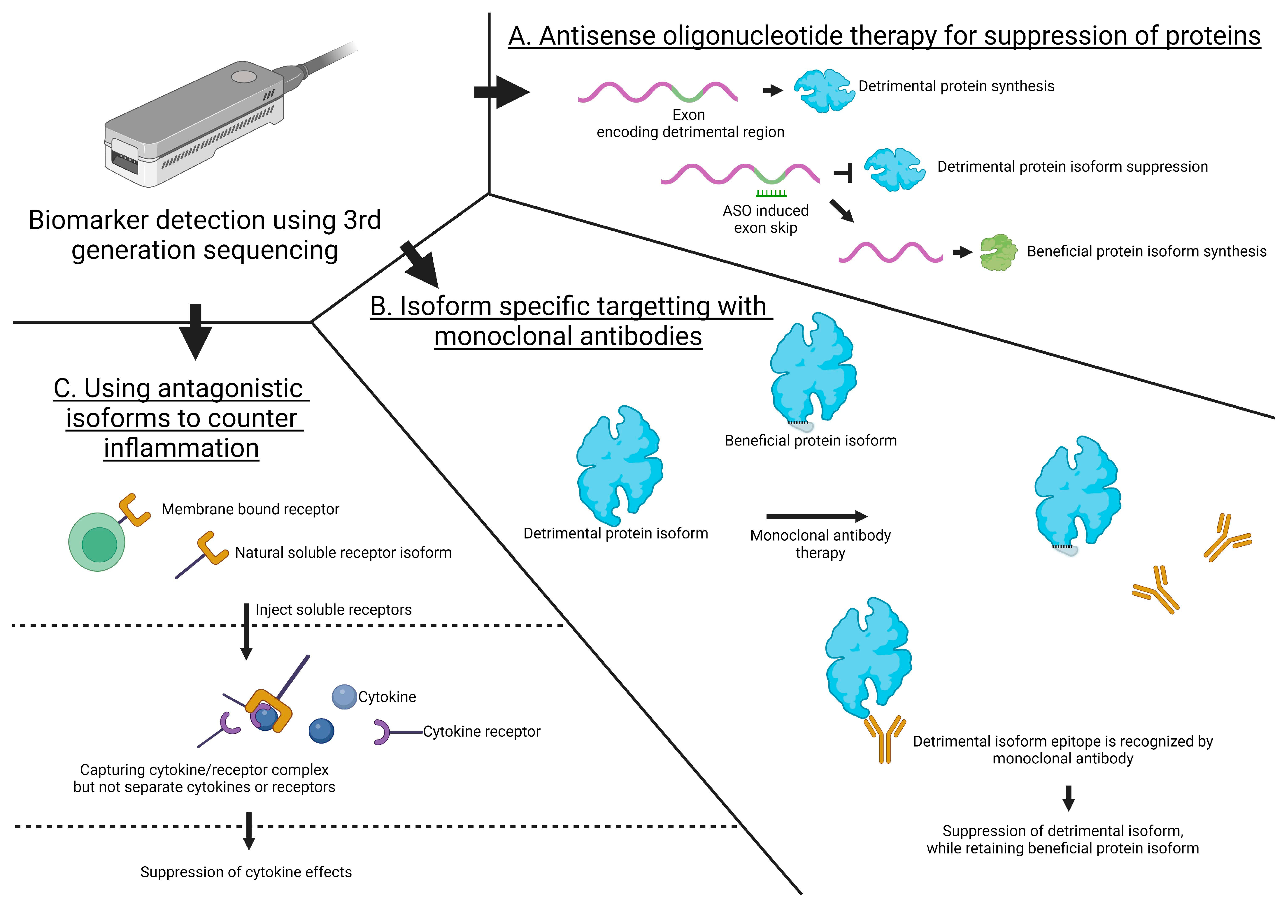 Ijms 25 08123 g005 Ijms 25 08123 g005