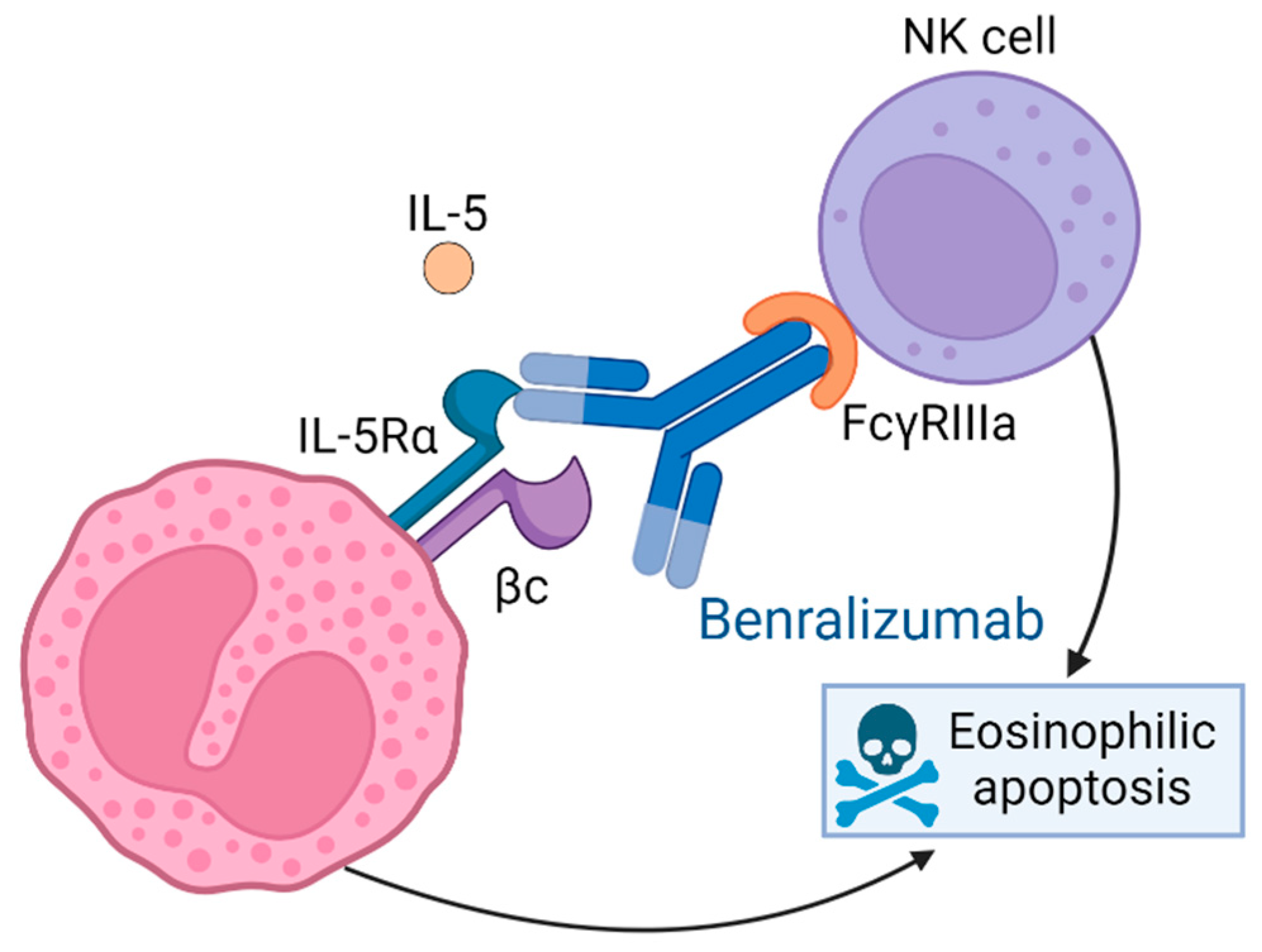 Ijms 25 08139 g003 Ijms 25 08139 g003