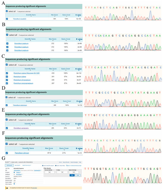 Analysis of Whole-Genome for Identification of Seven Penicillium