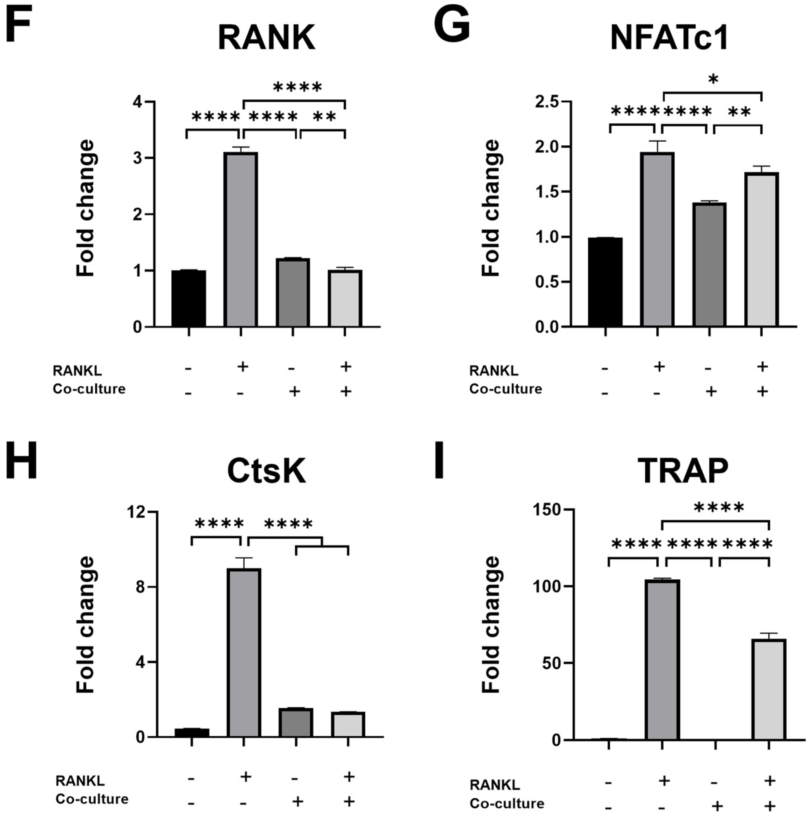 Ijms 25 08174 g001c Ijms 25 08174 g001c